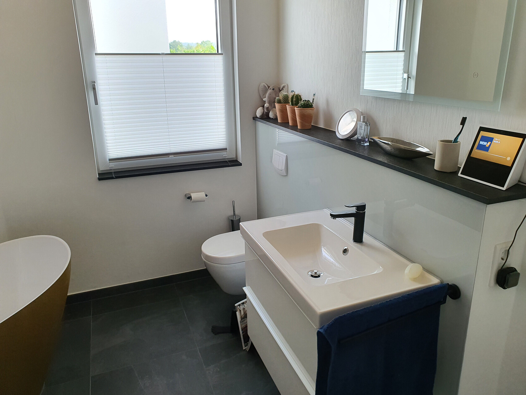 Modernes Badezimmer mit Waschbecken, Toilette, Fenster, Spiegel und Pflanzendekor