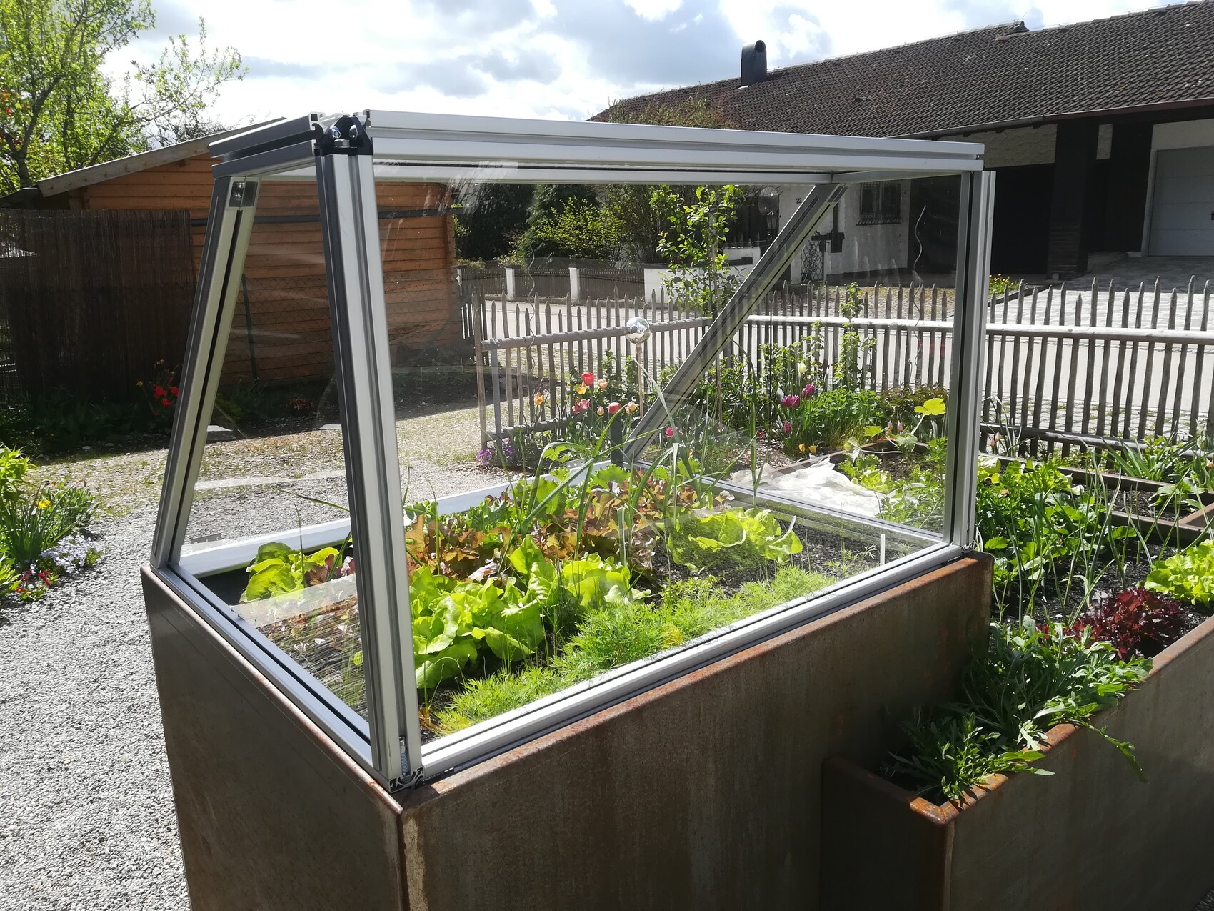 Glas-Gewächshaus auf rostfarbenem Metallbeet im Garten mit grünen Gemüsepflanzen.
