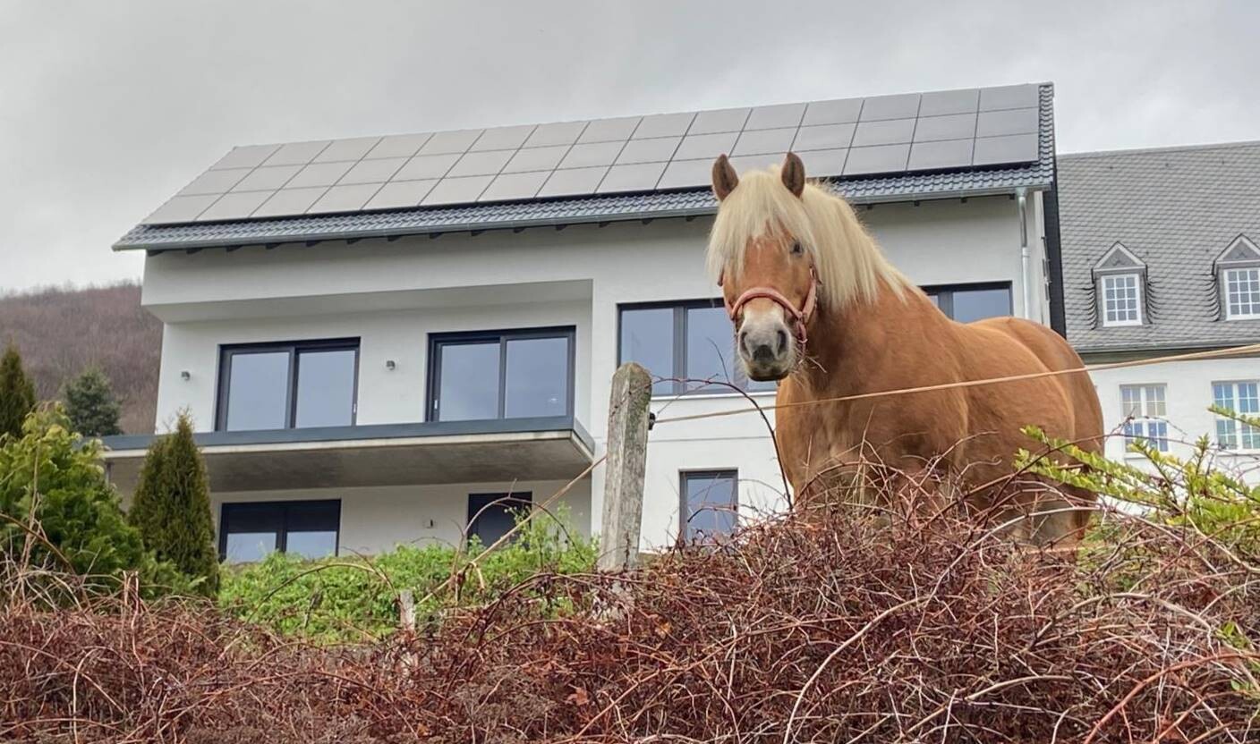 Pferd im Garten vor modernem Haus mit Solarpanelen auf dem Dach