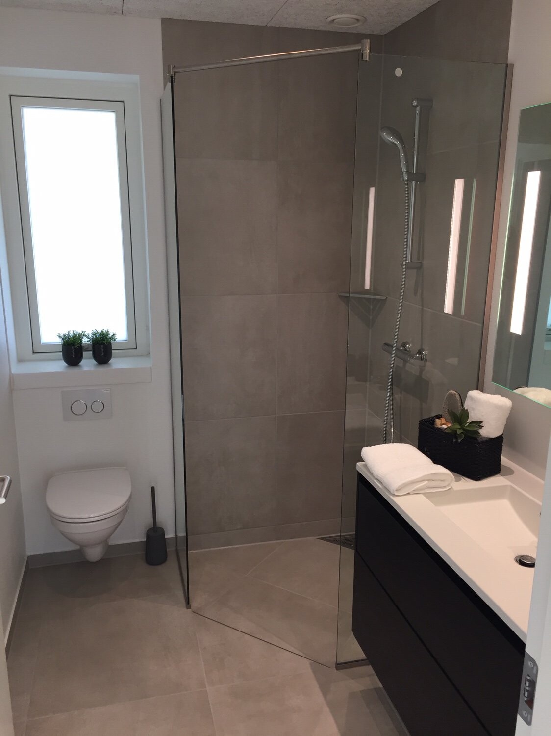 Modernes Badezimmer: Glasdusche, Wand-WC, Fenster mit zwei Pflänzchen, Waschbecken.
