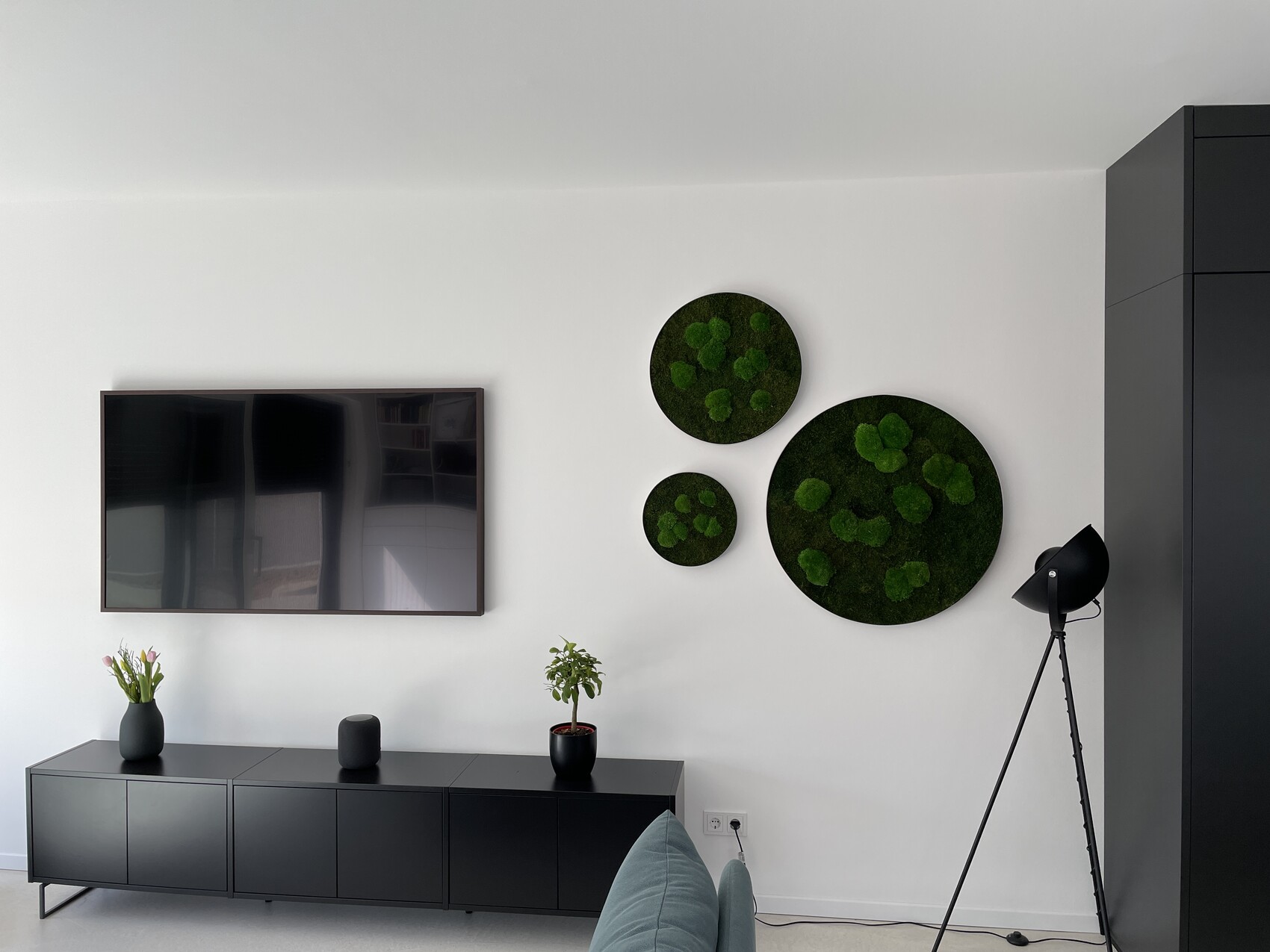 Moderner Wohnraum mit TV an der Wand, schwarzem Lowboard, Mooskreise und Stehleuchte.
