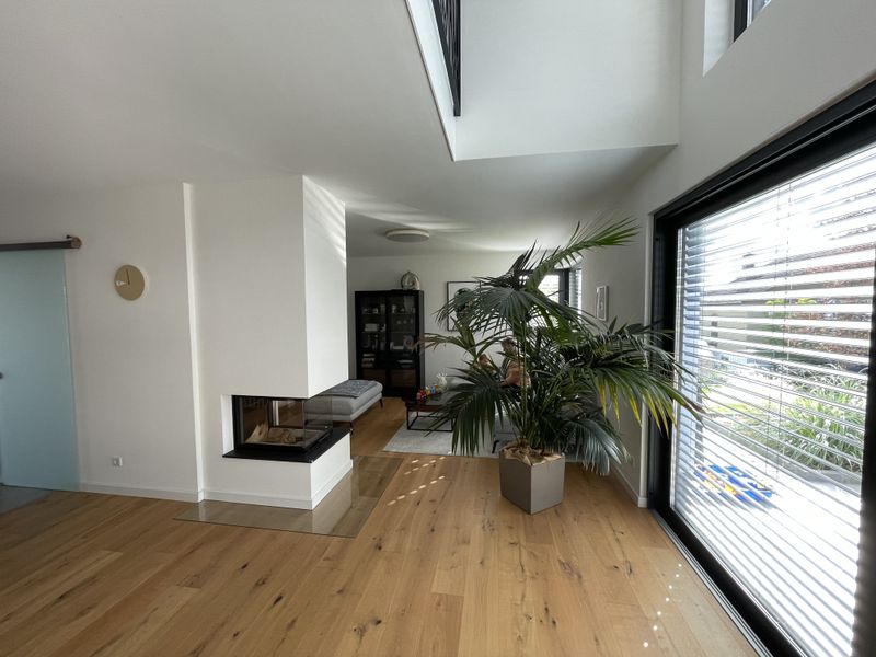 modernes-wohnzimmer-massivholz-boden-grosse-pflanze-hell-und-offen.jpg