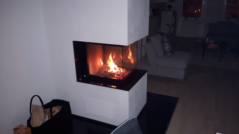 modernes-wohnzimmer-mit-glaskamin.jpg