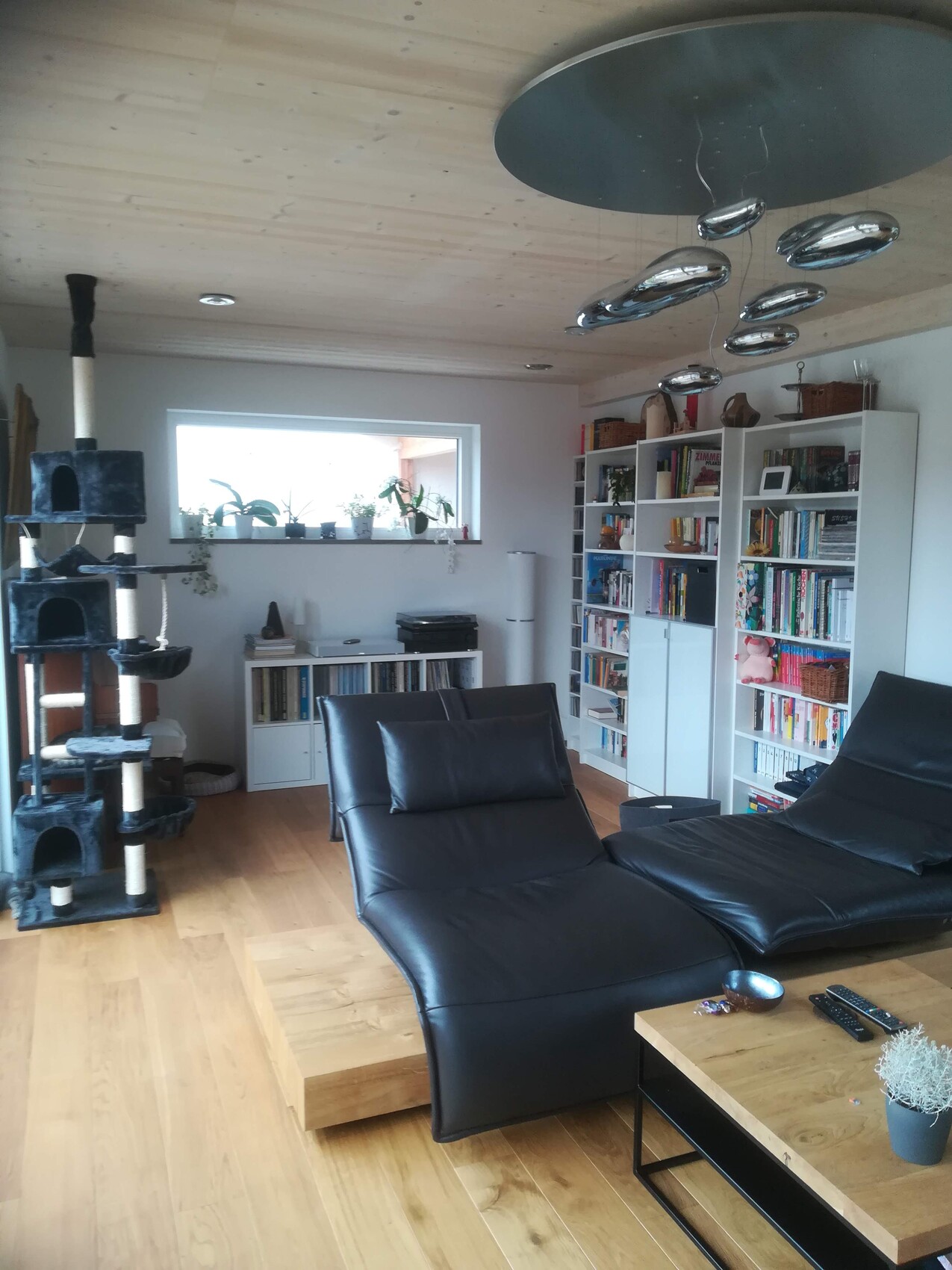 Modernes Wohnzimmer mit schwarzer Ledersofa-Liege, Holzboden, weißem Bücherregal, Pflanzen am Fenster.