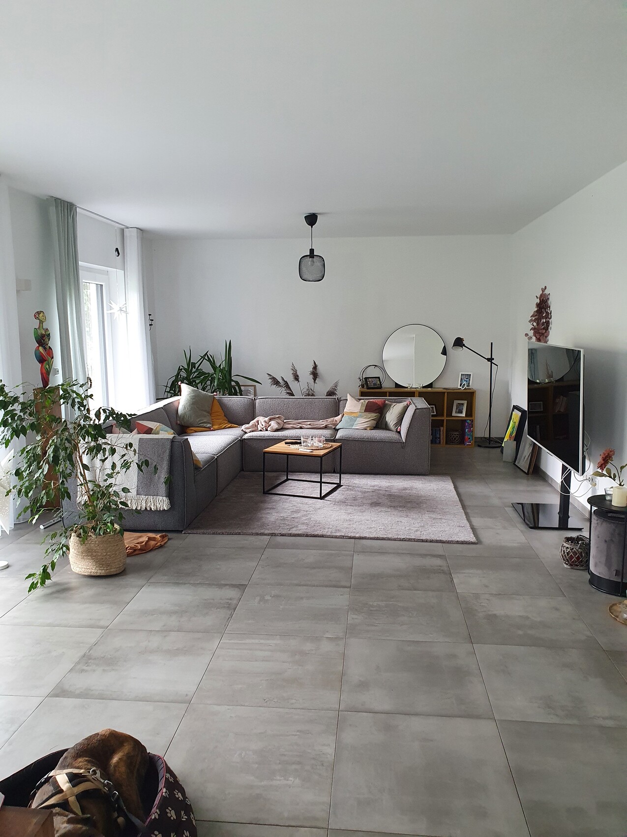 Modernes Wohnzimmer mit grauem Sofa, Pflanzen, Couchtisch und Spiegel; Hund im Körbchen.