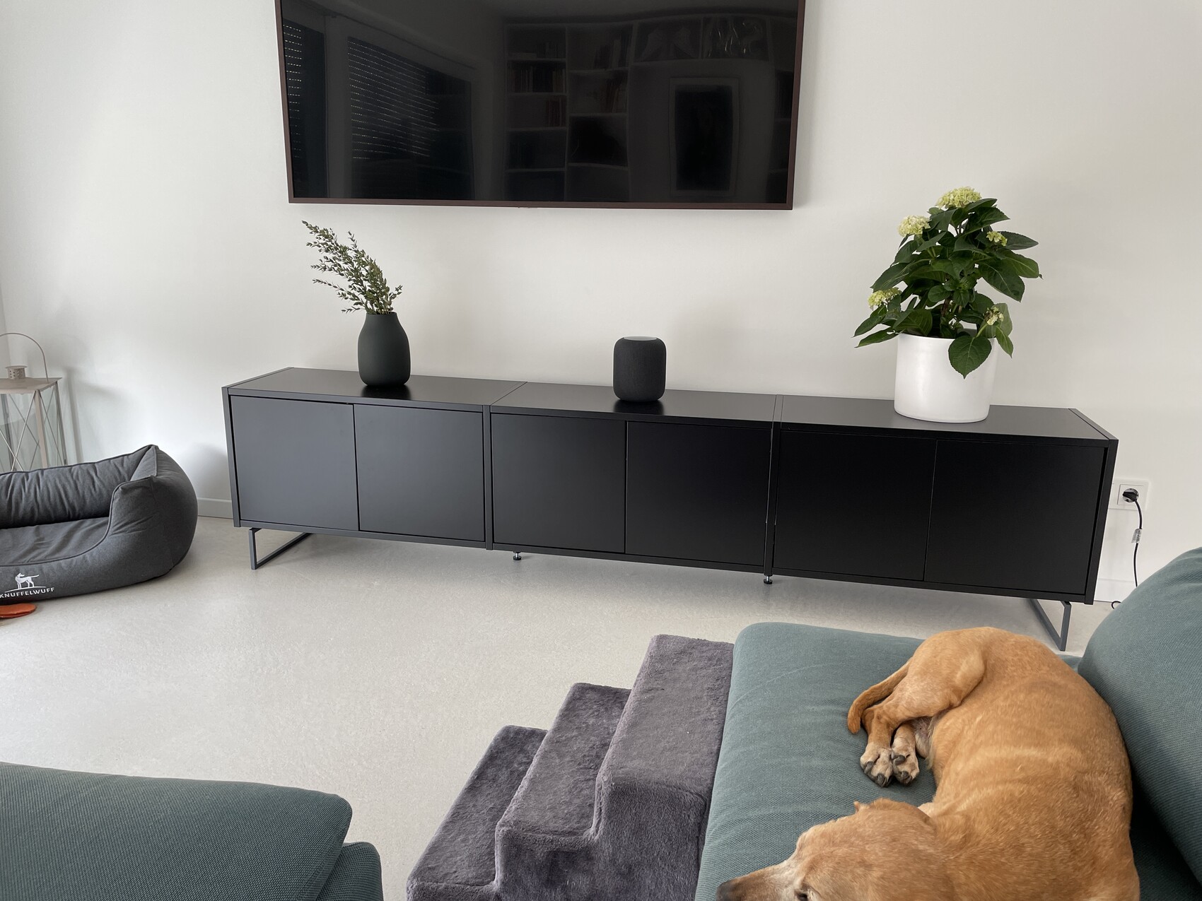 Wohnzimmer mit schwarzem Sideboard, TV darüber, Pflanze in Weißtopf, schlafender Hund auf Couch