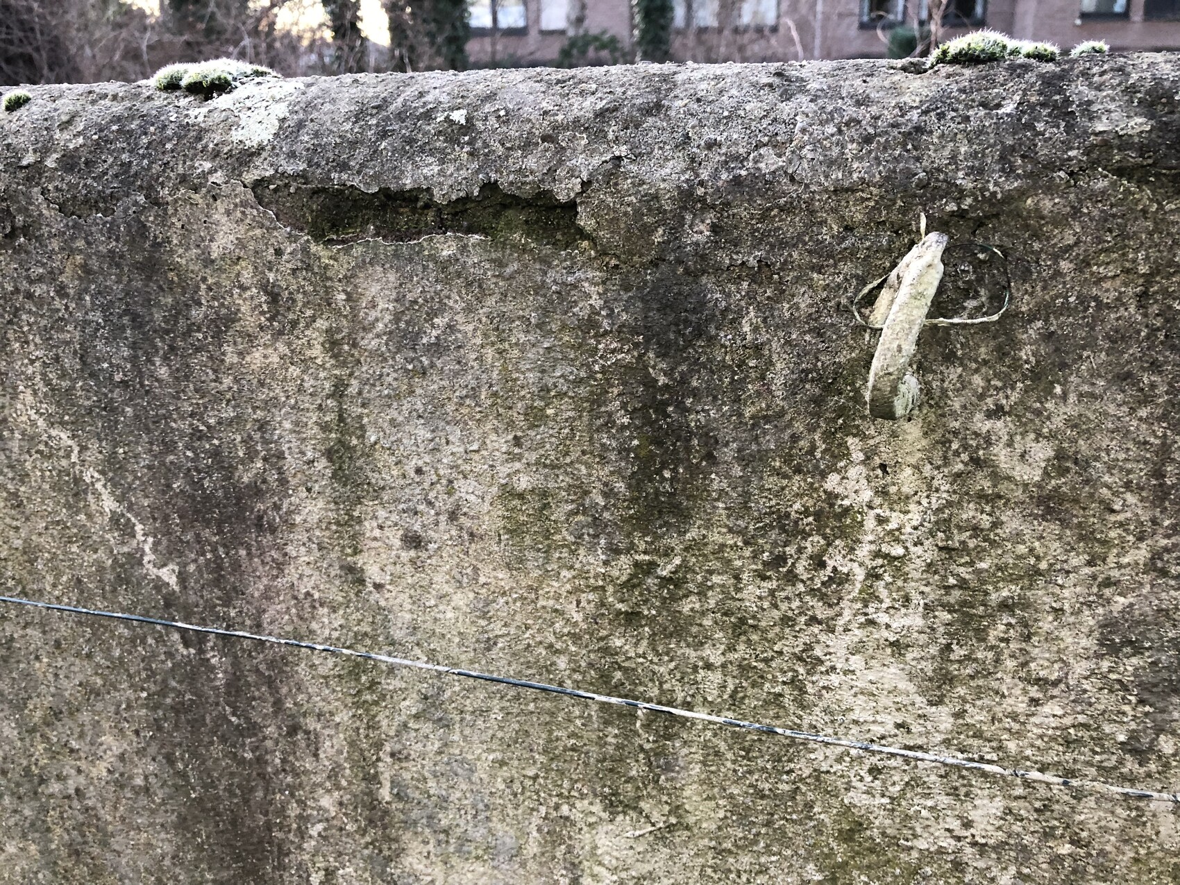 Moosige Aussenwand aus Mauerwerk mit Verwitterung und Drahtanker