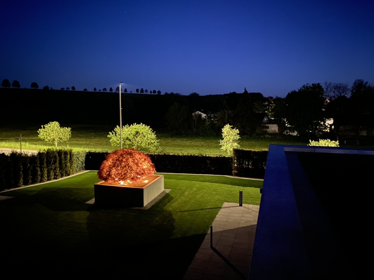 Nachtgarten mit rotem Busch in rechteckigem Steinbeet, grünem Rasen und Hecken vor dunklem Himmel.