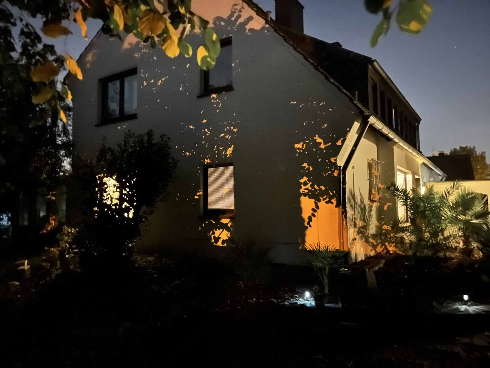 Nächtliches, zweistöckiges Haus mit orange Beleuchtung, Blätter-Schatten, Garten davor.