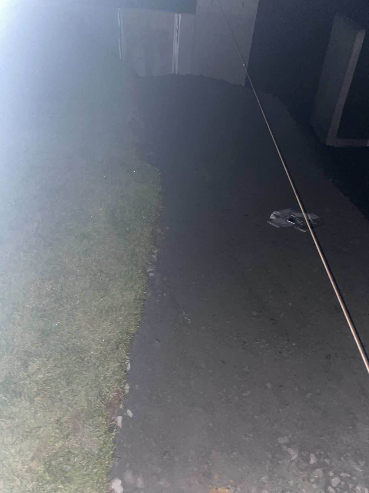 Nachtaufnahme eines Außenwegs mit Grasrand links und Asphalt rechts; eine Leine liegt quer über dem Weg.