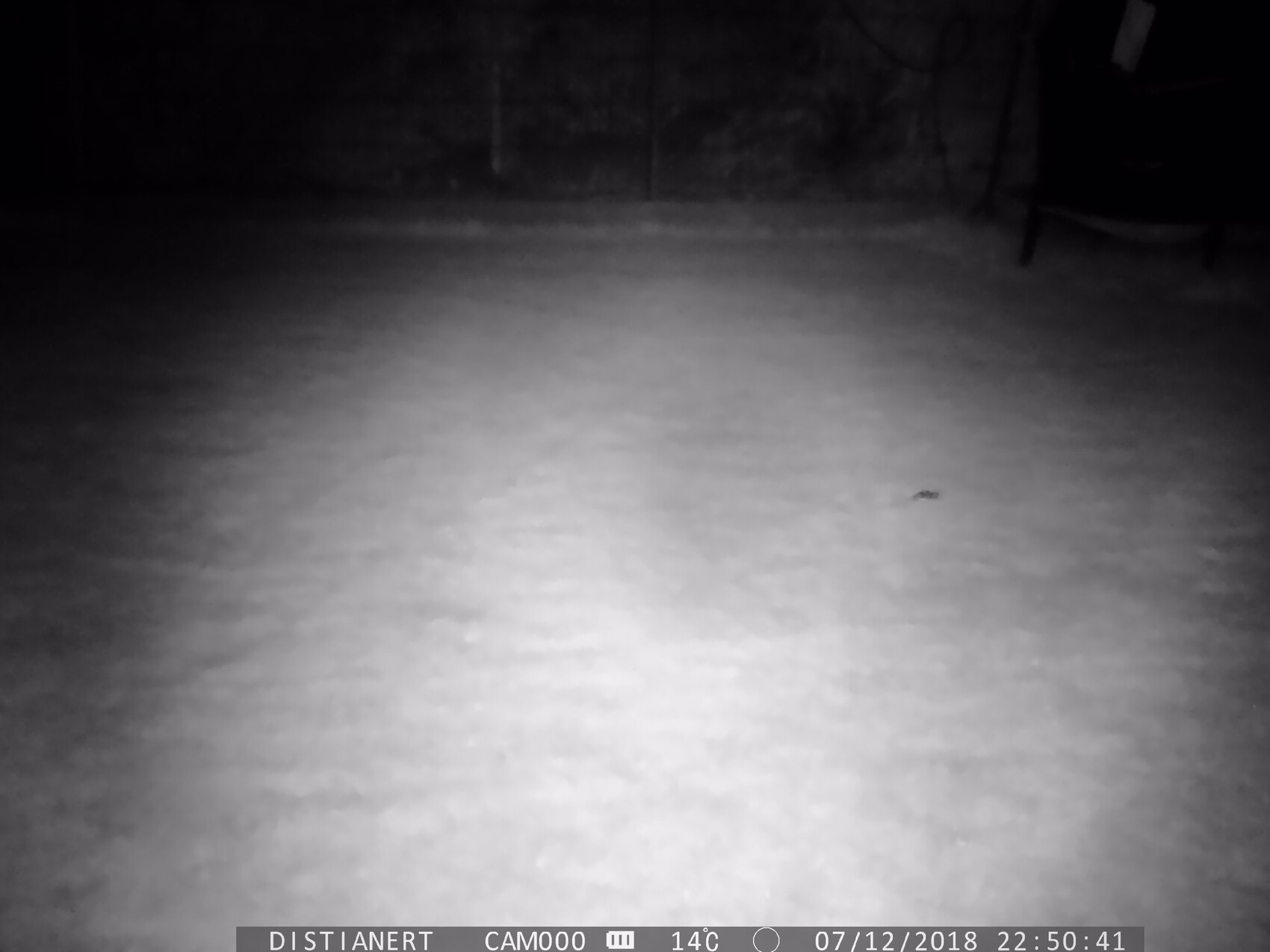 Nachtaufnahme eines schneebedeckten Gartens/Hofs bei Nacht mit dunklem Hintergrund