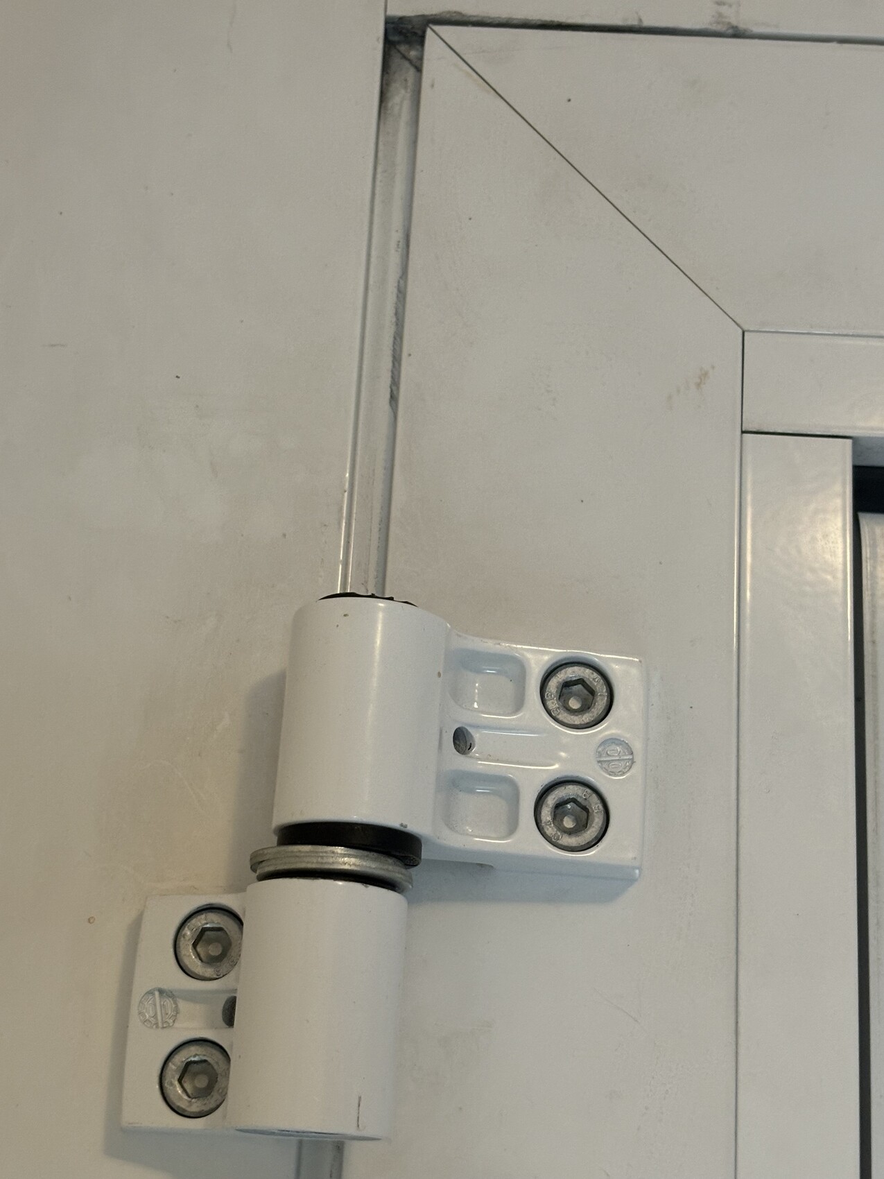 Nahaufnahme eines weißen Türscharniers am Türrahmen, Schraubenköpfe sichtbar.