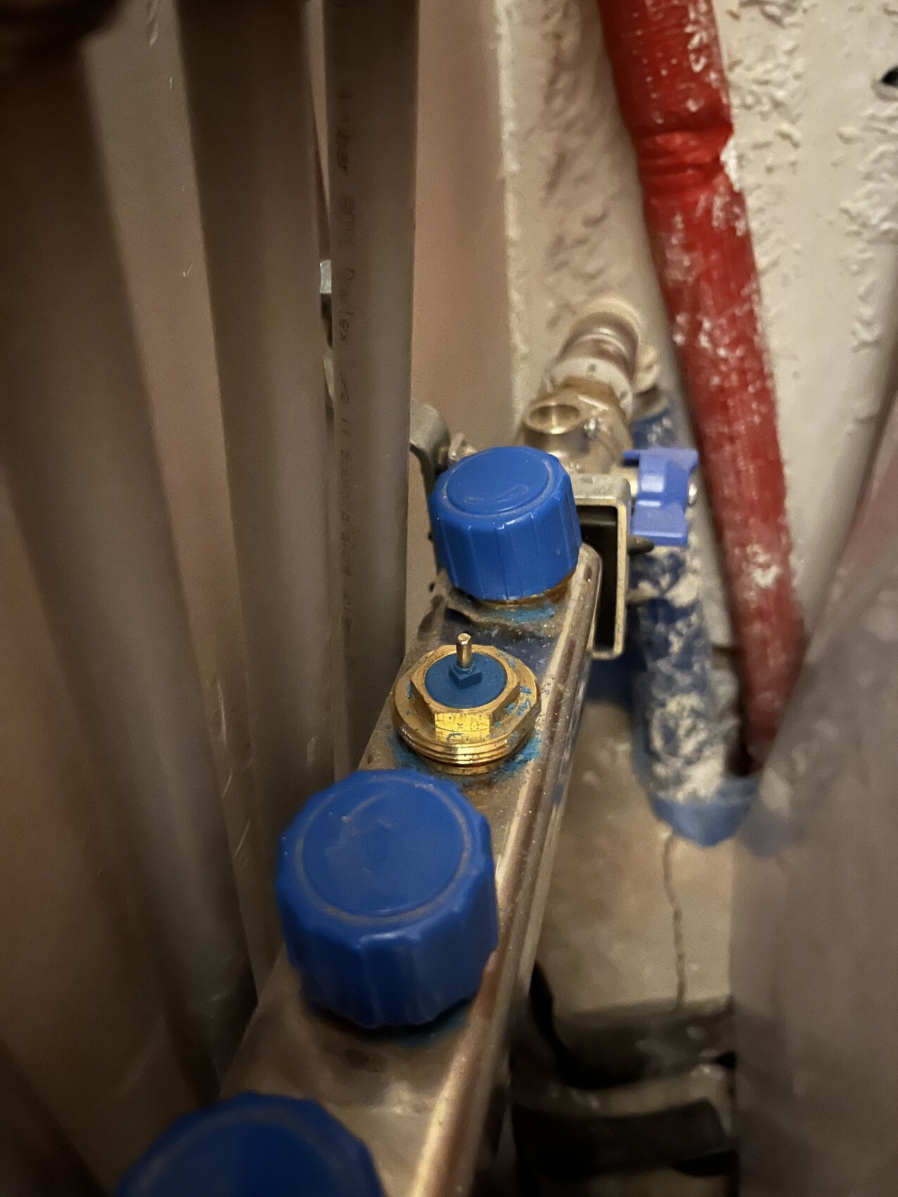 Nahaufnahme eines Heizungsventils mit blauer Abdeckung an einer Verteilungsleiste