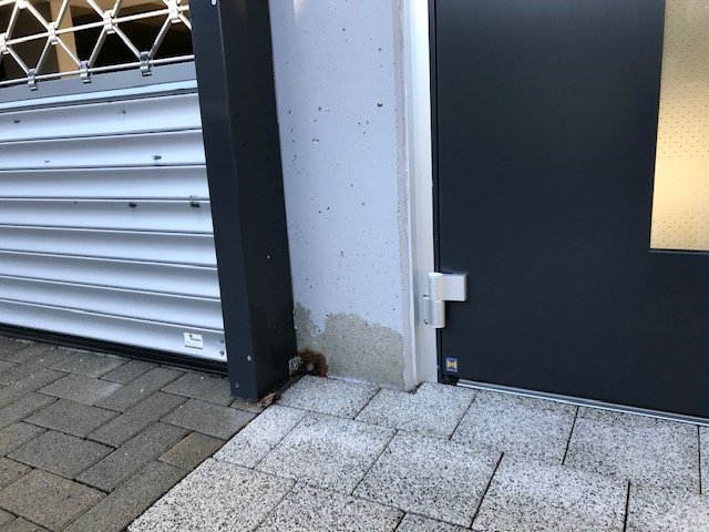 nasse-aussenwand-reparatur-mit-fluessigkunststoff-395576-1.jpg