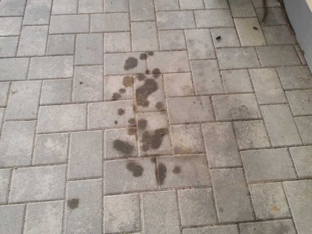 Nasse Fußabdrücke auf hellgrauem Terrassenpflaster
