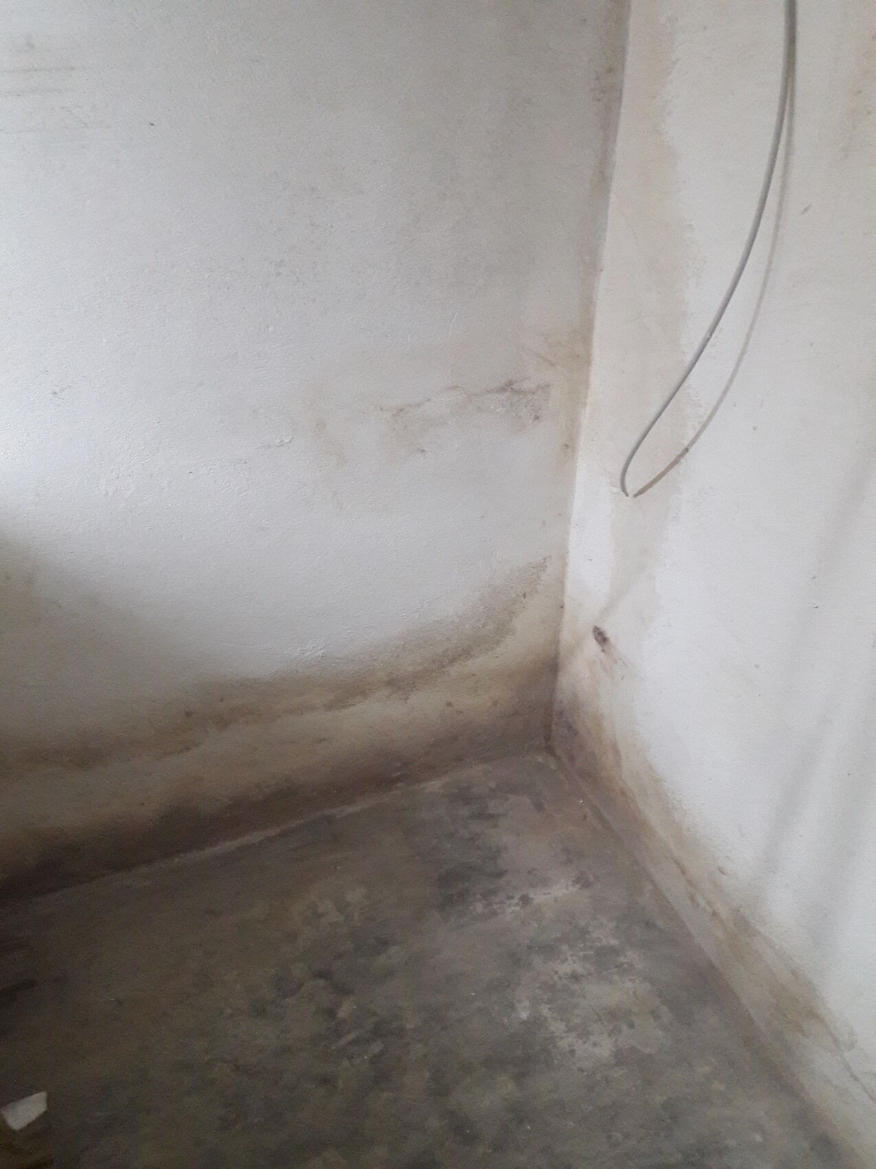 Keller-Ecke mit feuchten Wänden, Staubboden und einem losen Kabel an der Wand.