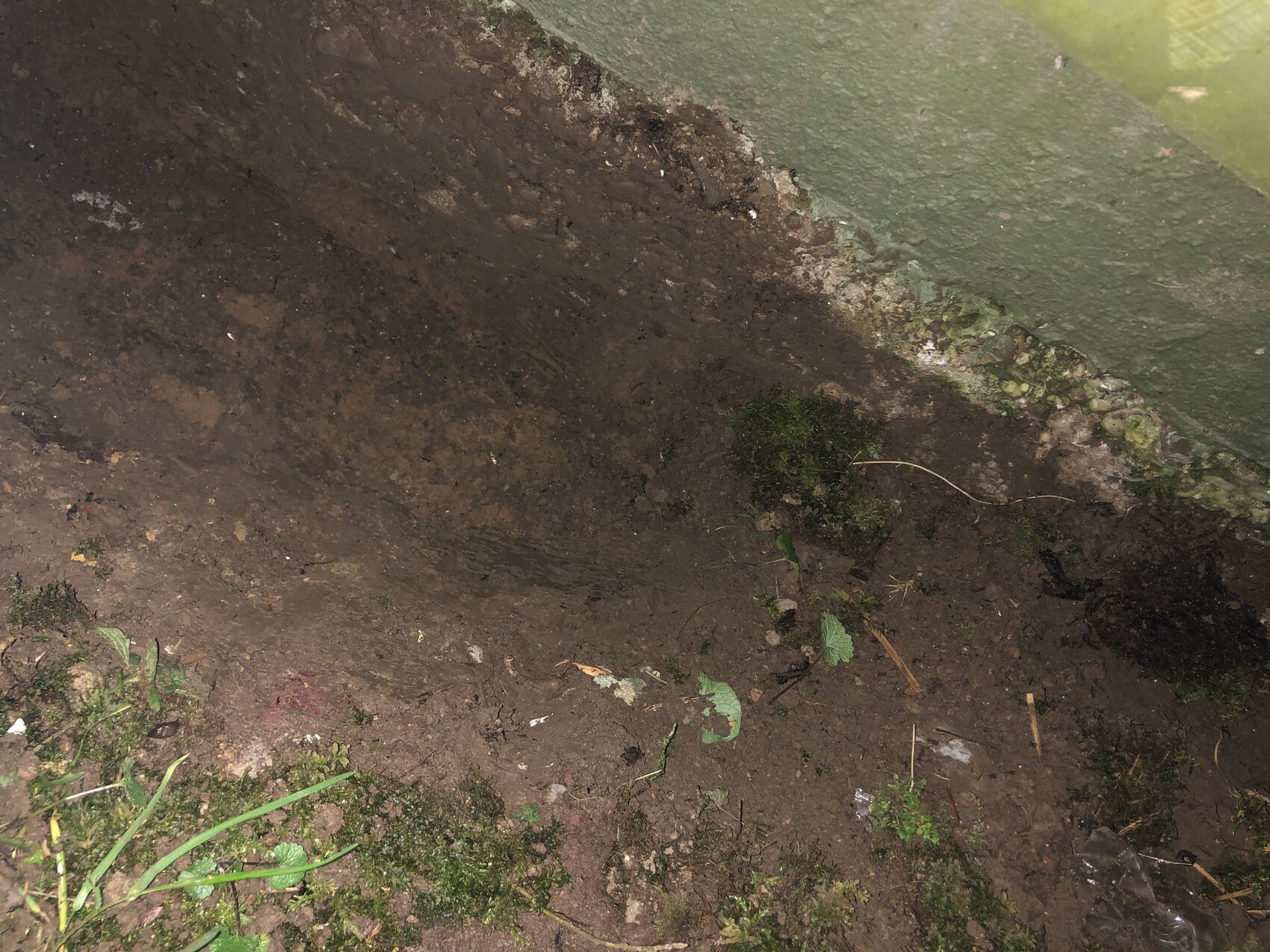 Ausgehobenes Erdloch neben grün gestrichener Kellerwand; feuchter Boden mit Moos.