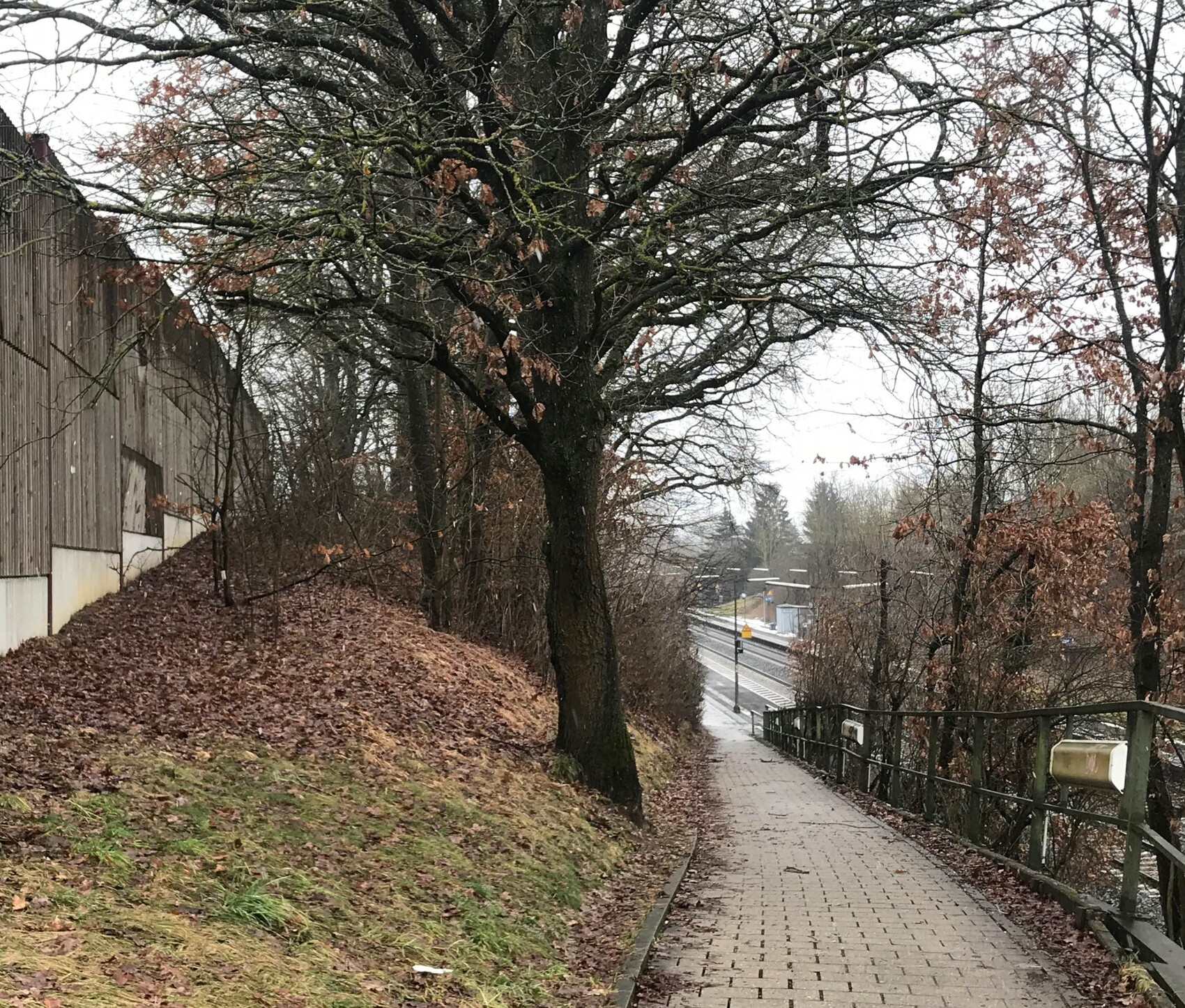 Gepflasterter Weg mit Geländer rechts, großer Baum, Herbstlaub am Boden, Bahnstrecke im Hintergrund.