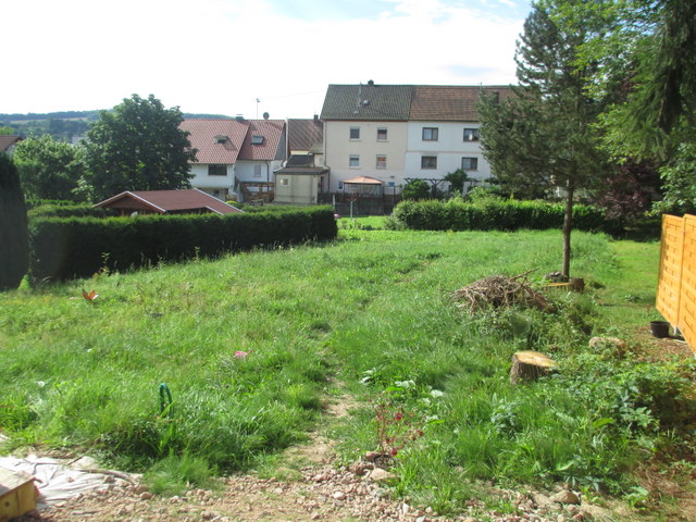 naturgartenblumenwiese-rasen-146246-1.JPG