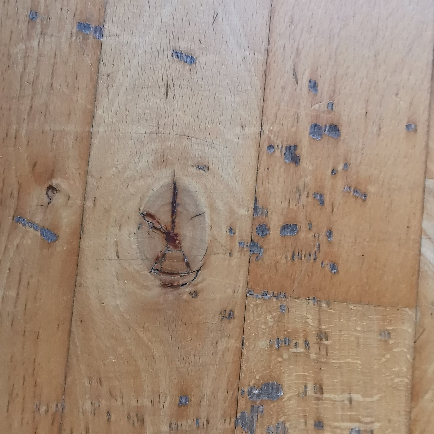 Nahaufnahme eines Holzbretters mit sichtbarem Knoten und dunklen Flecken.
