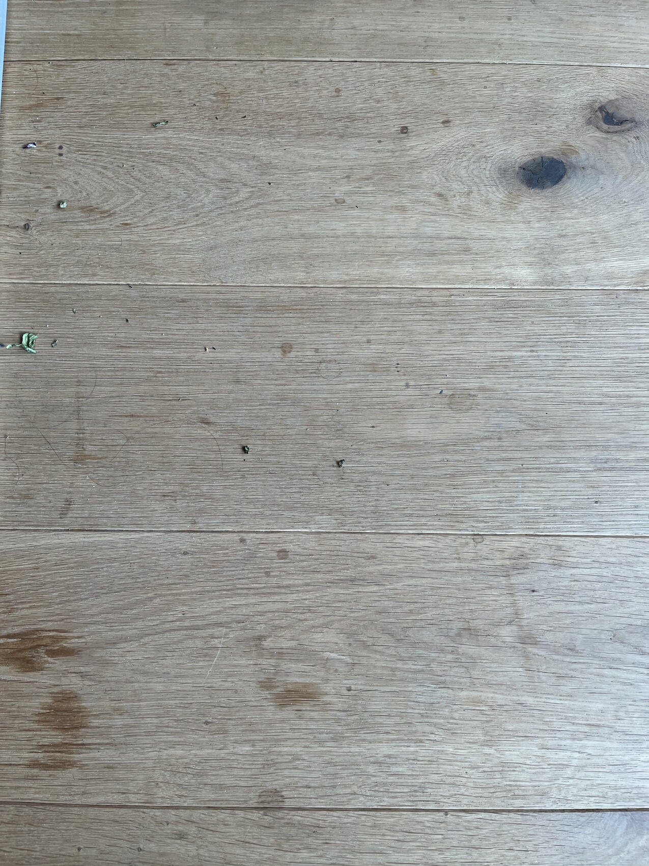 Holzboden aus breiten Dielen mit Flecken, Kratzern und grünen Resten.