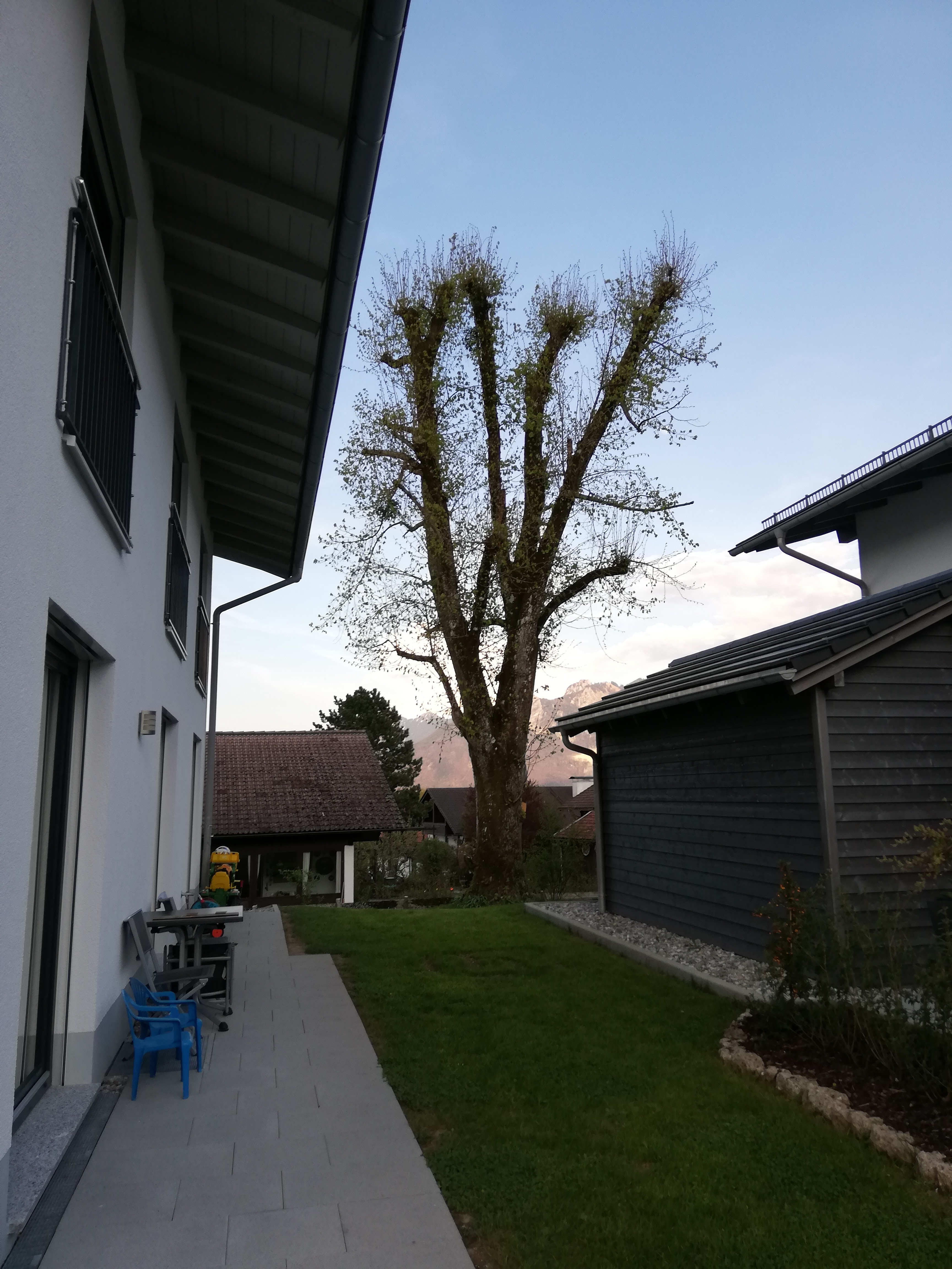 naturnaher-garten-mit-hecke-anstatt-zaun-319053-1.jpg