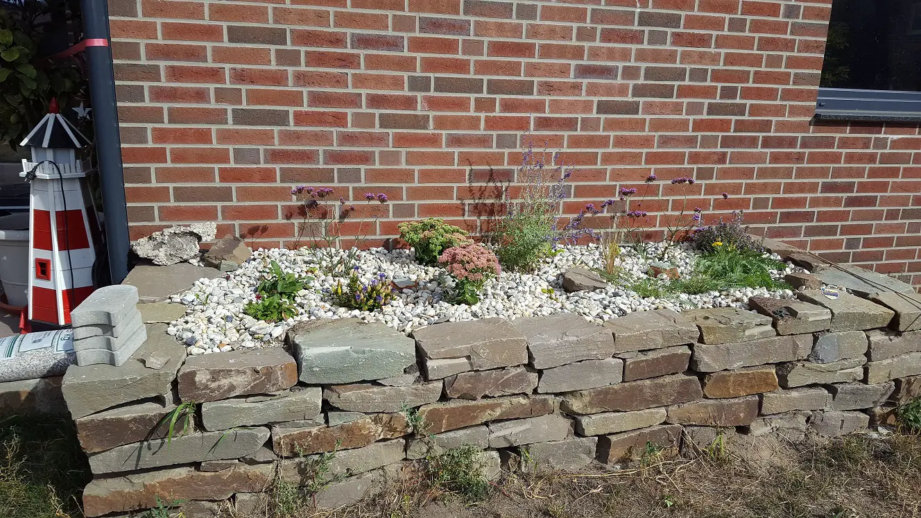 20190915_112710.jpg