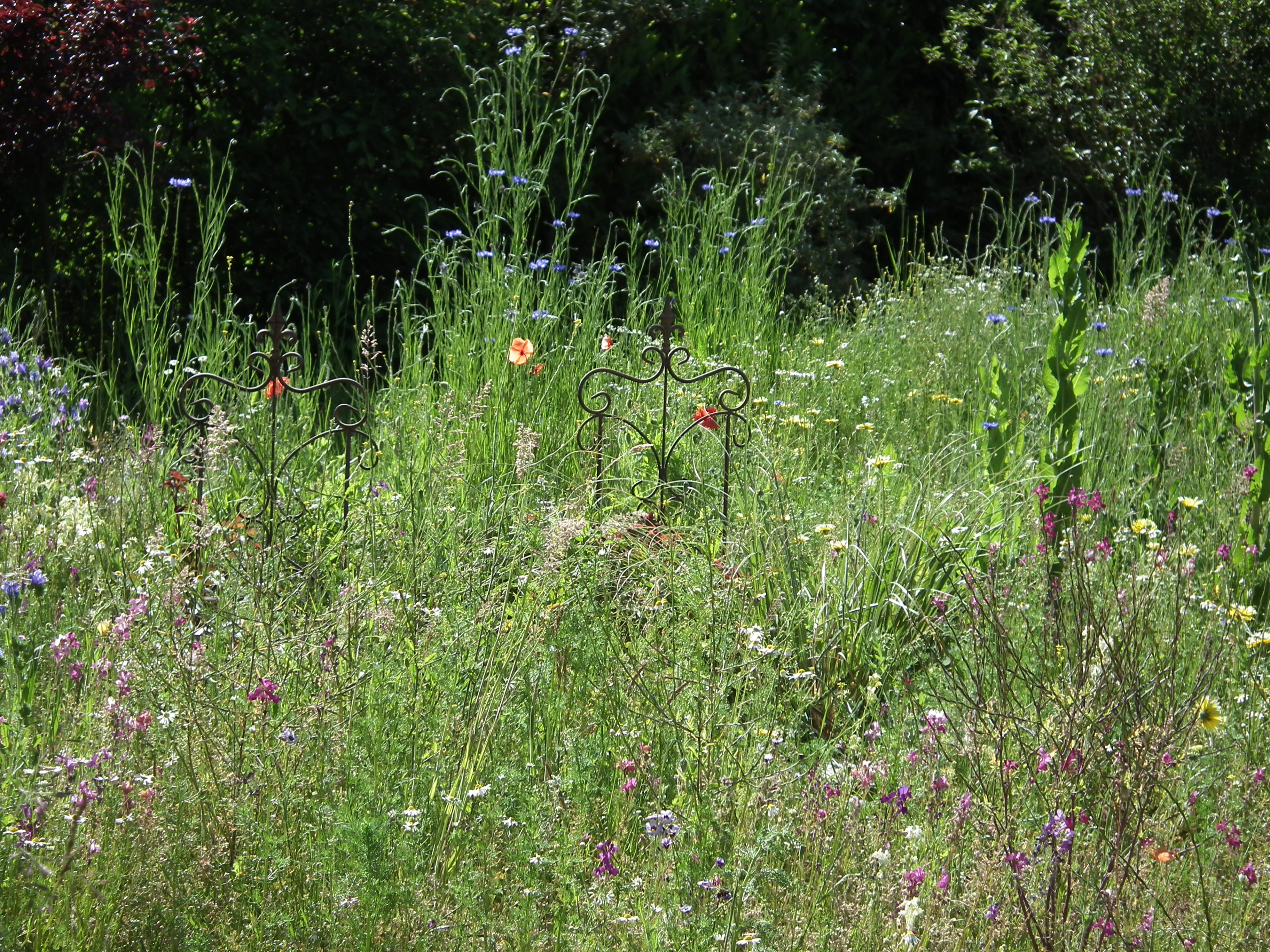 DSCF1899.JPG