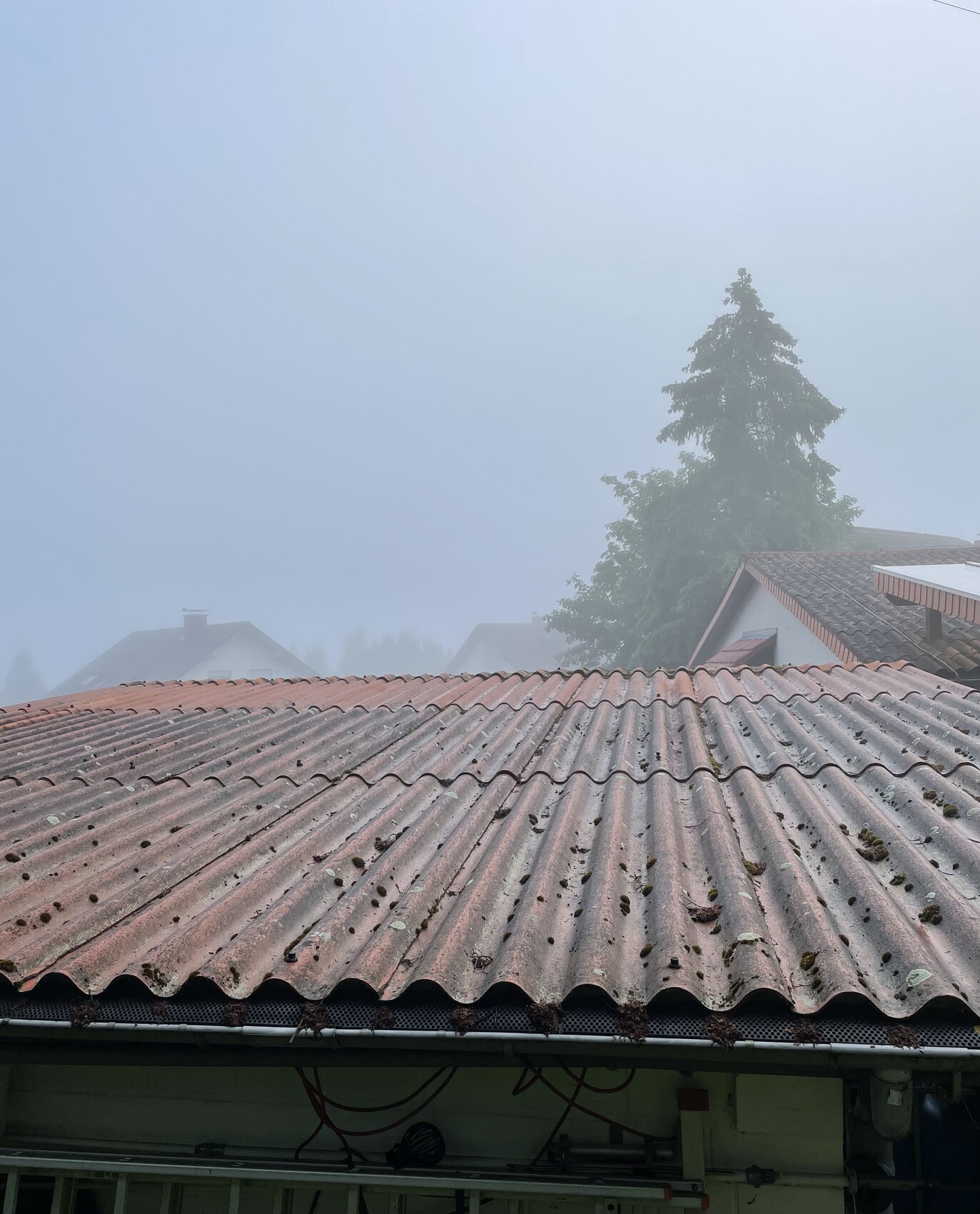 Rotes Wellblech-Schrägdach im Vordergrund, Nebel, Baum und Häuser im Hintergrund.