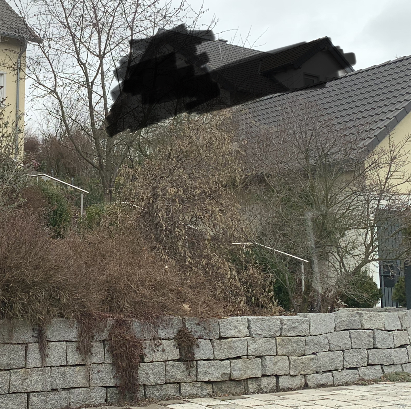 neubau-einfamilienhaus-hanggrundstueck-374788-2.jpeg