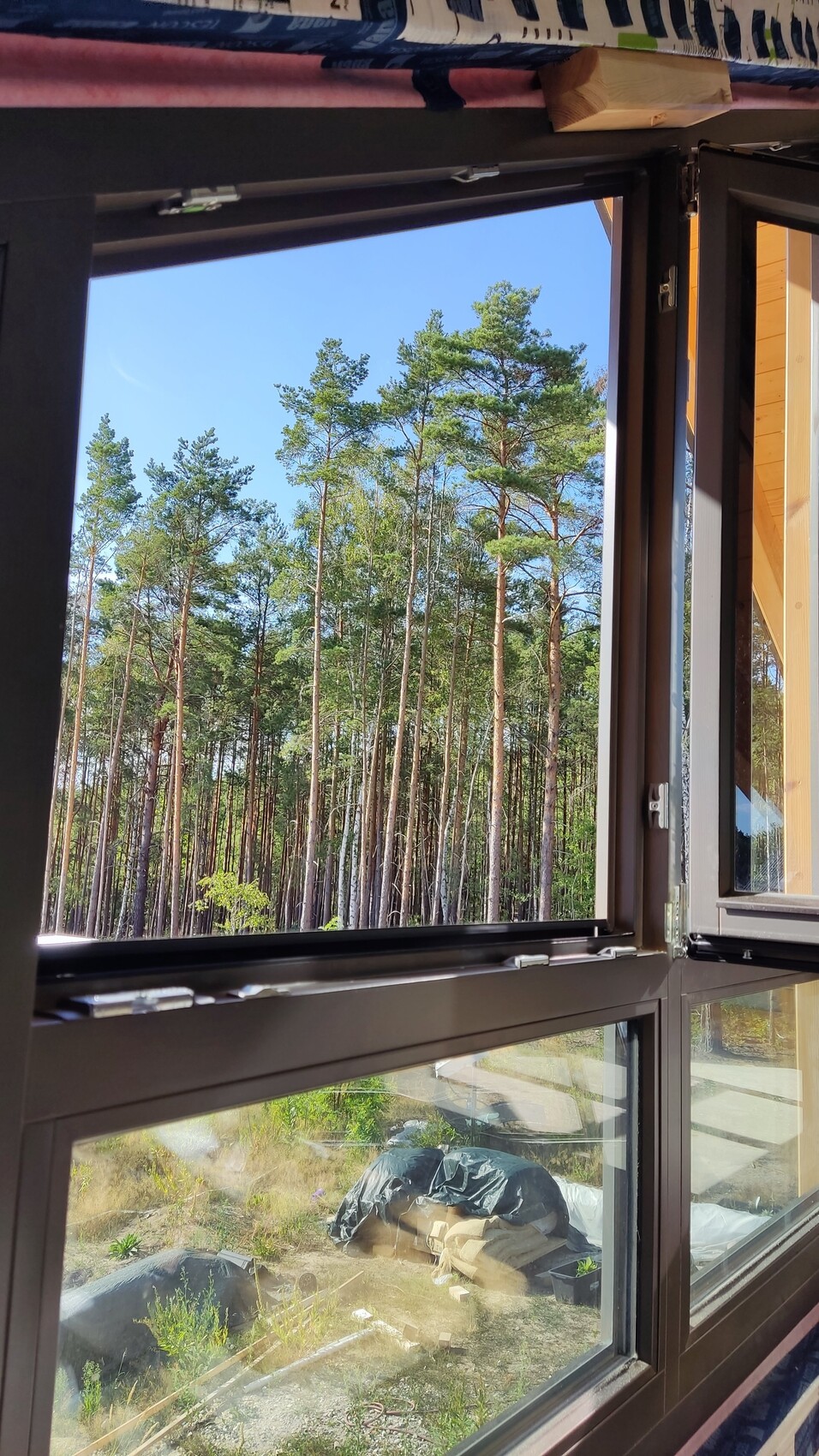 Offenes Fenster mit Blick auf hohen Kiefernwald; Bauutensilien im Vordergrund.