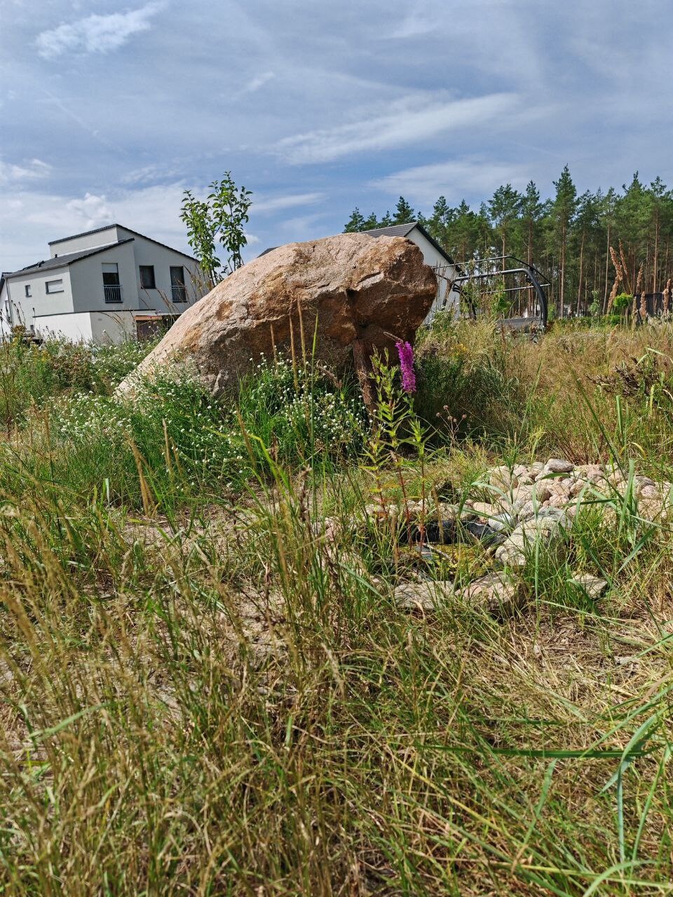 Großer Felsblock in einer Wildblumenwiese vor modernen Gebäuden und Wald im Hintergrund.