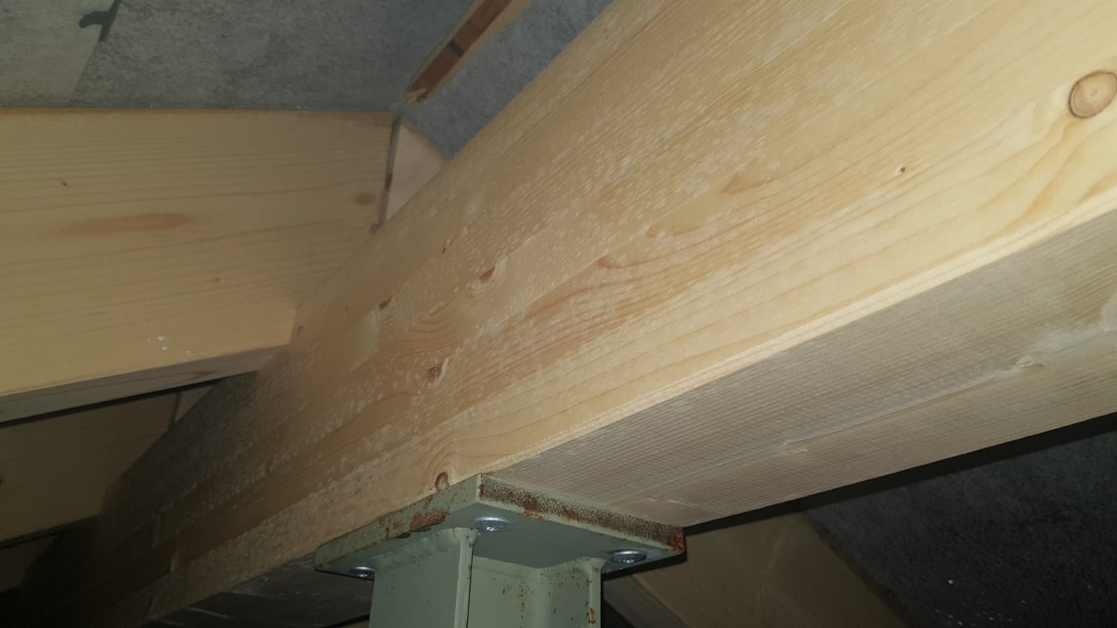neubau-schimmel-auf-den-dachbalken-461676-4.jpeg
