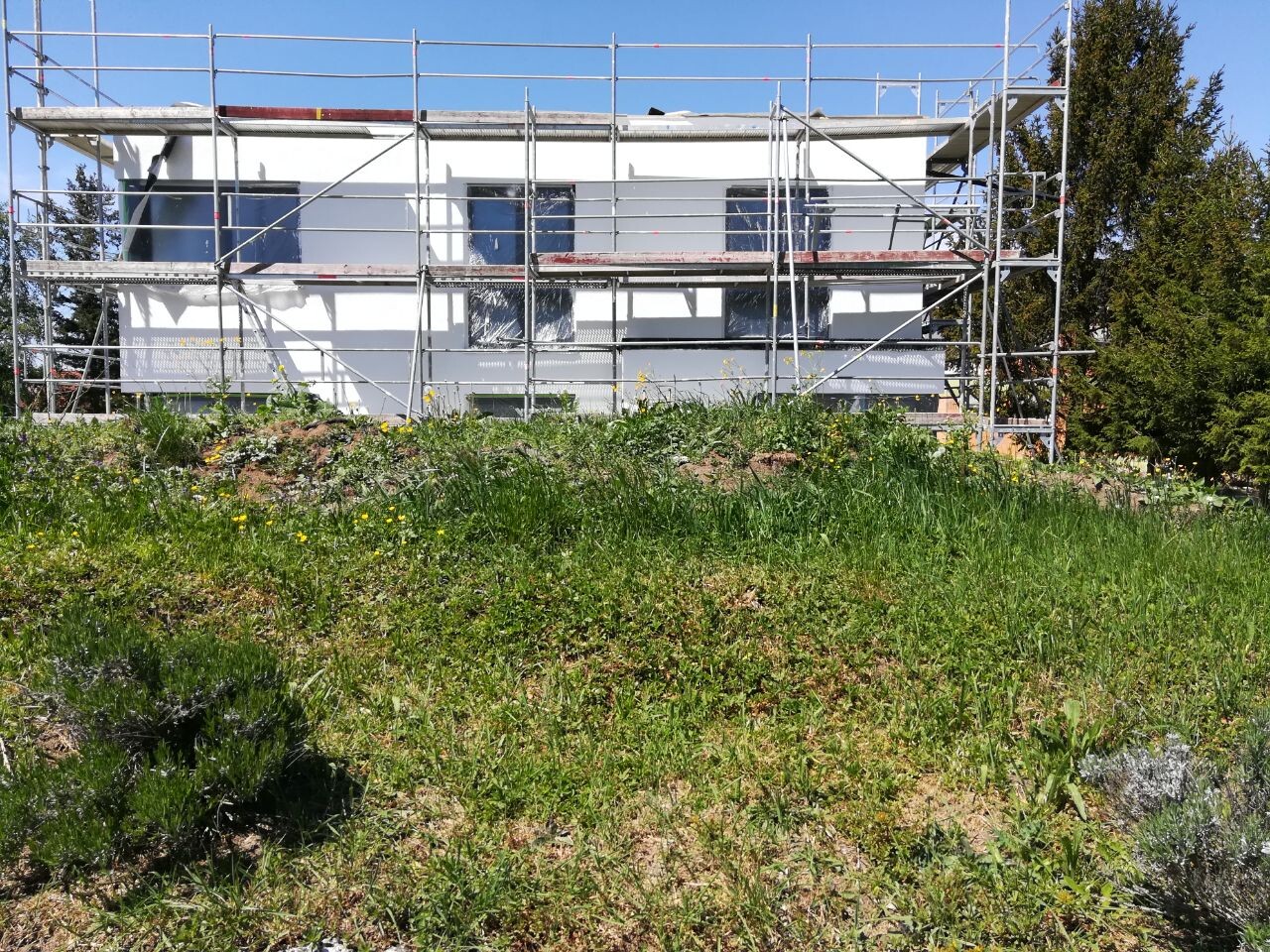 Weißes Haus von Metallgerüst umgeben; Vordergrund Wiese mit gelben Blumen, blauer Himmel.