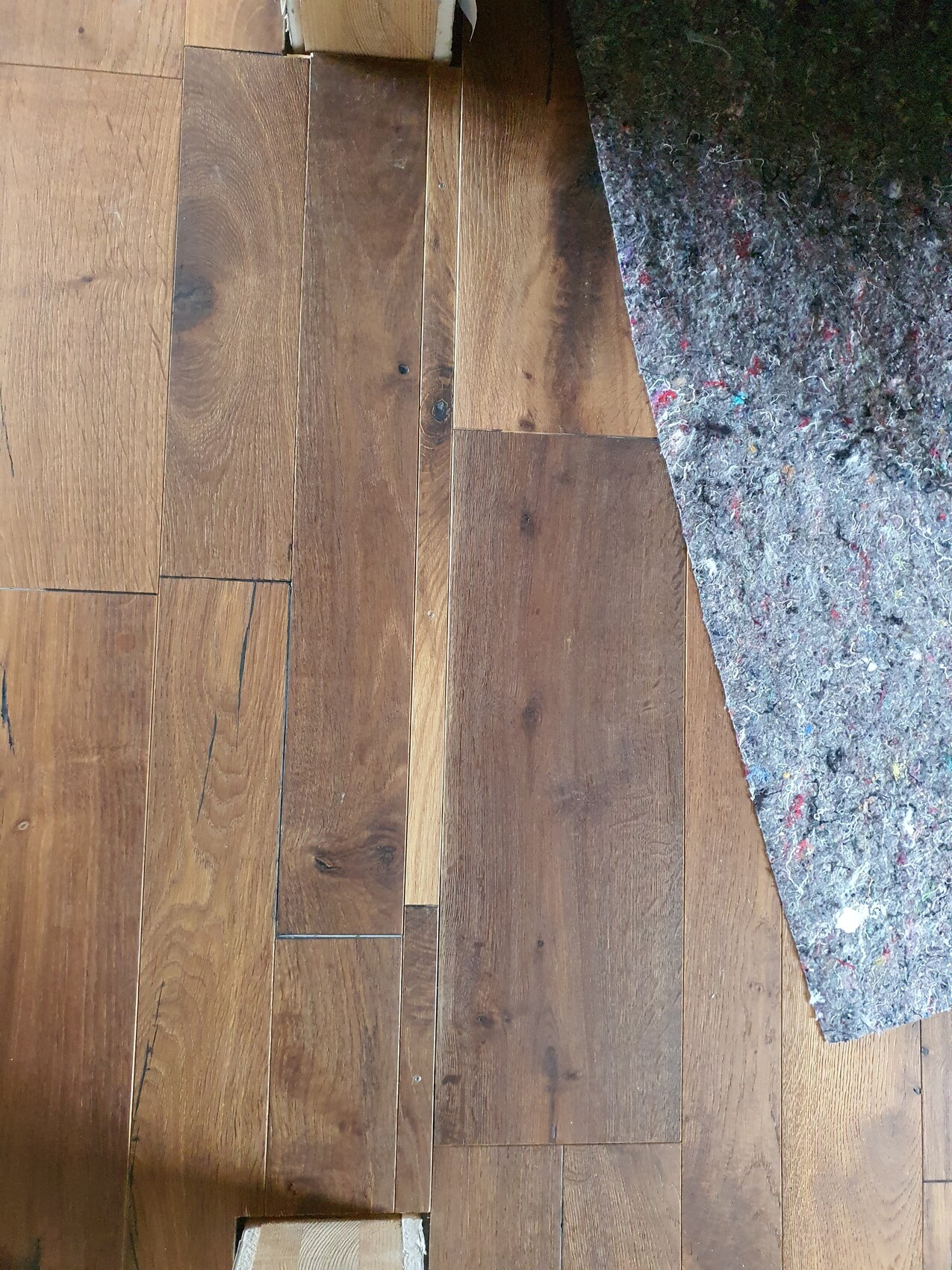 Holzfußboden aus braunen Holzdielen, rechts liegt ein gemusterter, farbiger Teppich.
