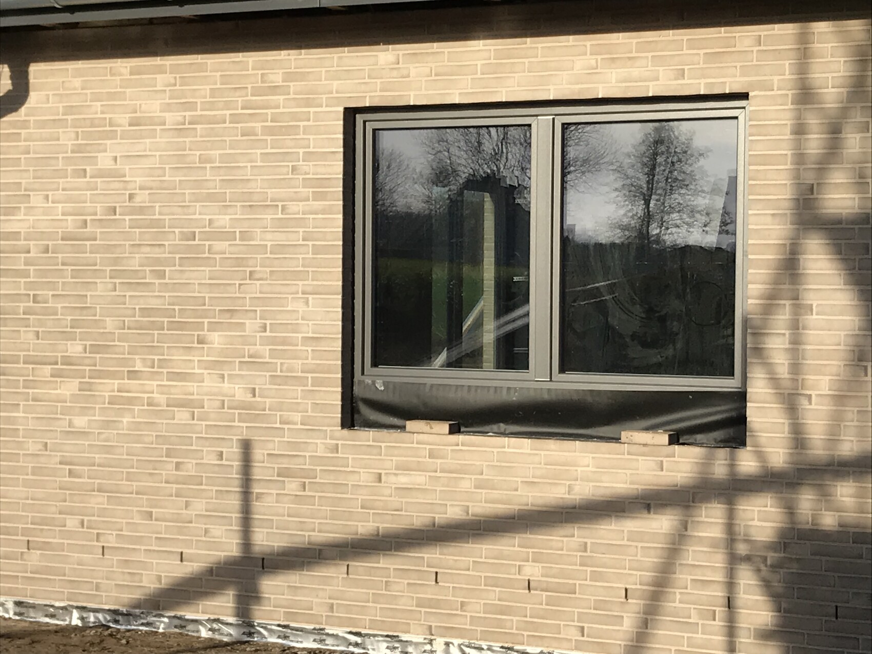 Fenster in einer hellen Ziegelwand; reflektierende Scheiben zeigen Bäume, Schatten über der Wand.