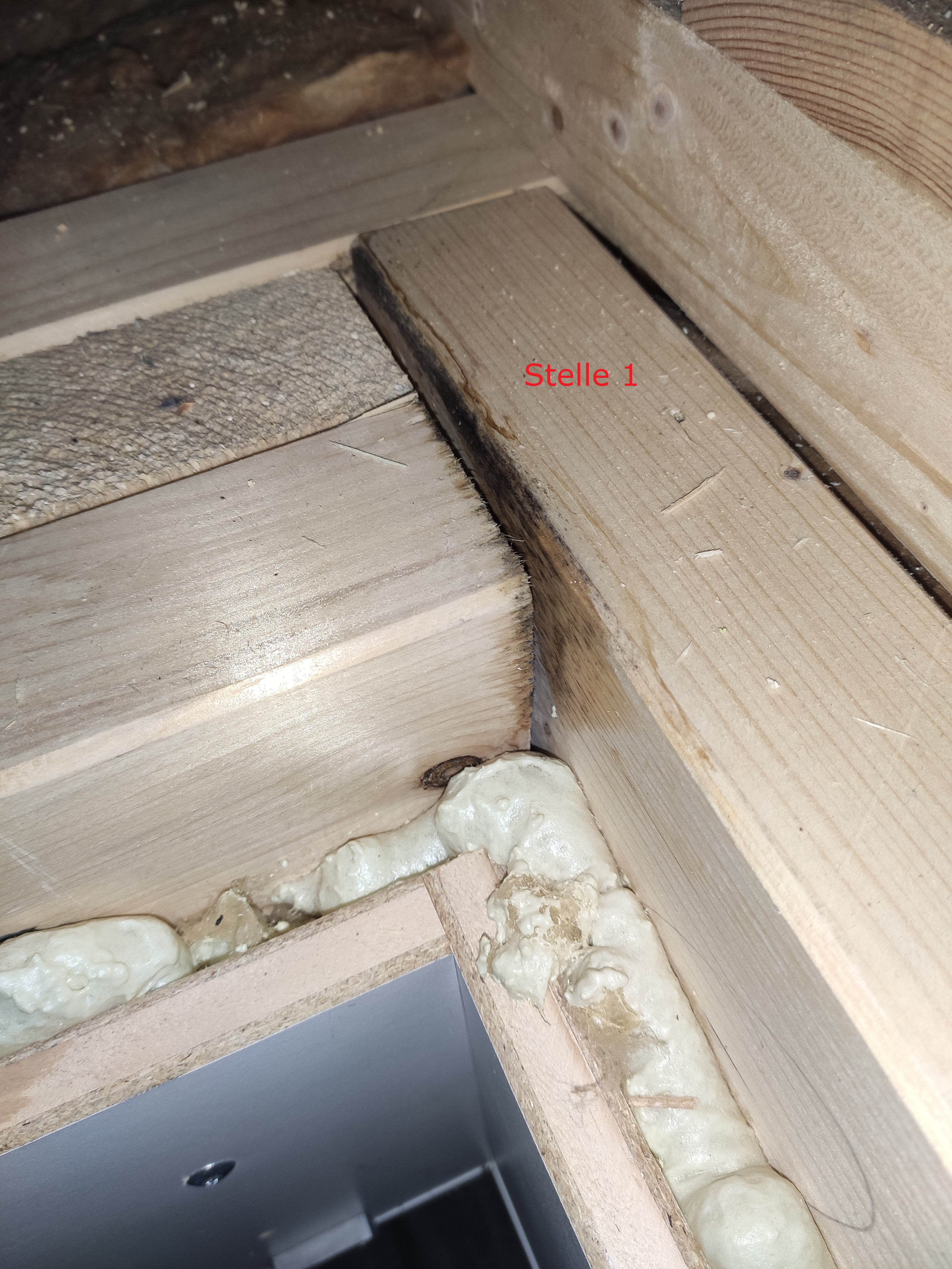 offene-bau-konstruktion-innenraum-mit-daemmung-und-holzbalken.jpg
