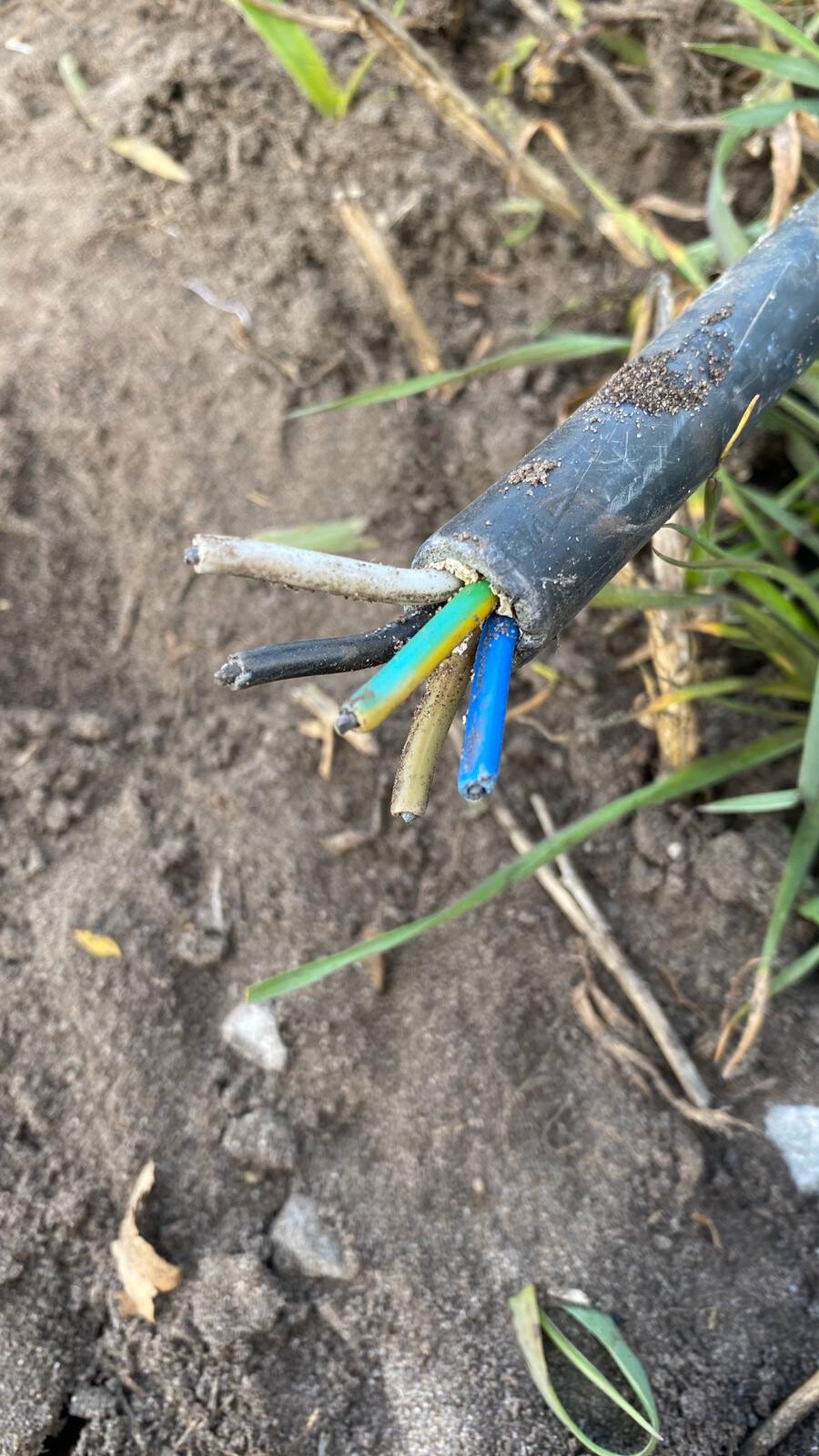 Nahaufnahme freiliegender Elektrokabel im Erdboden bei Gartenarbeiten