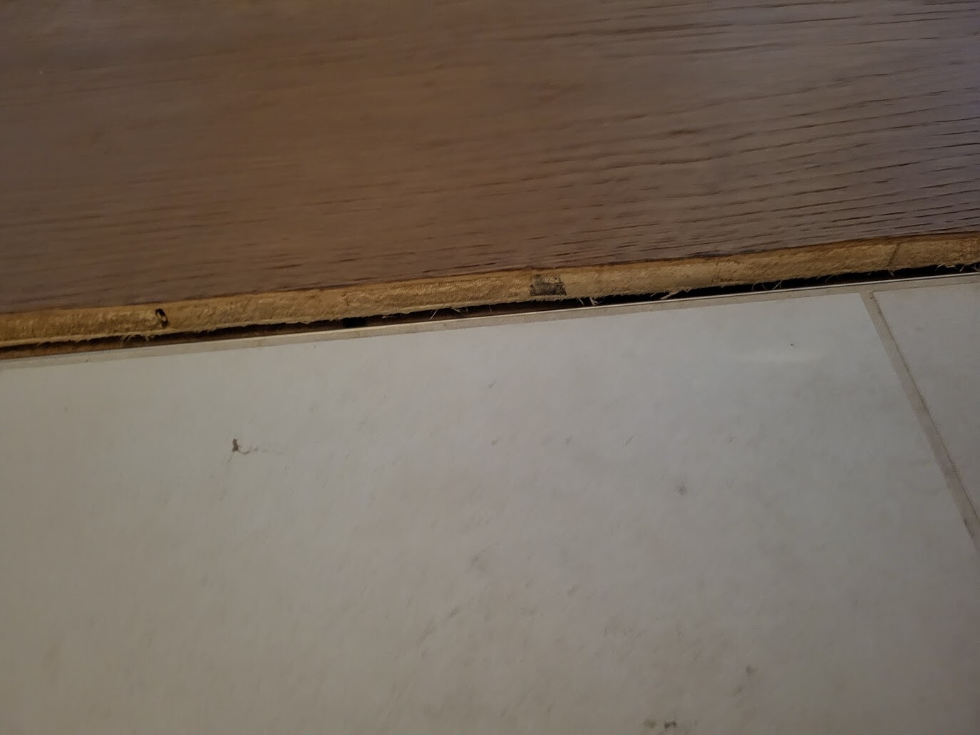 Spalt zwischen Holzboden und Fliesenboden, sichtbare Unterlage in der Fuge.