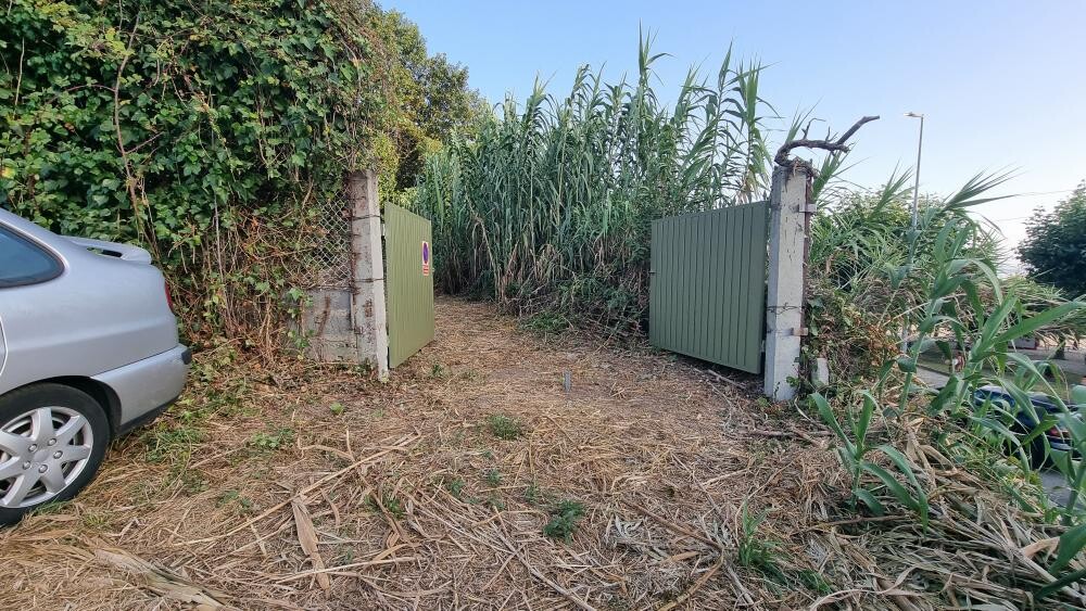 Gehweg durch hohes Gras zu offenen grünen Toren; links parkt ein silbernes Auto, Boden trocken.