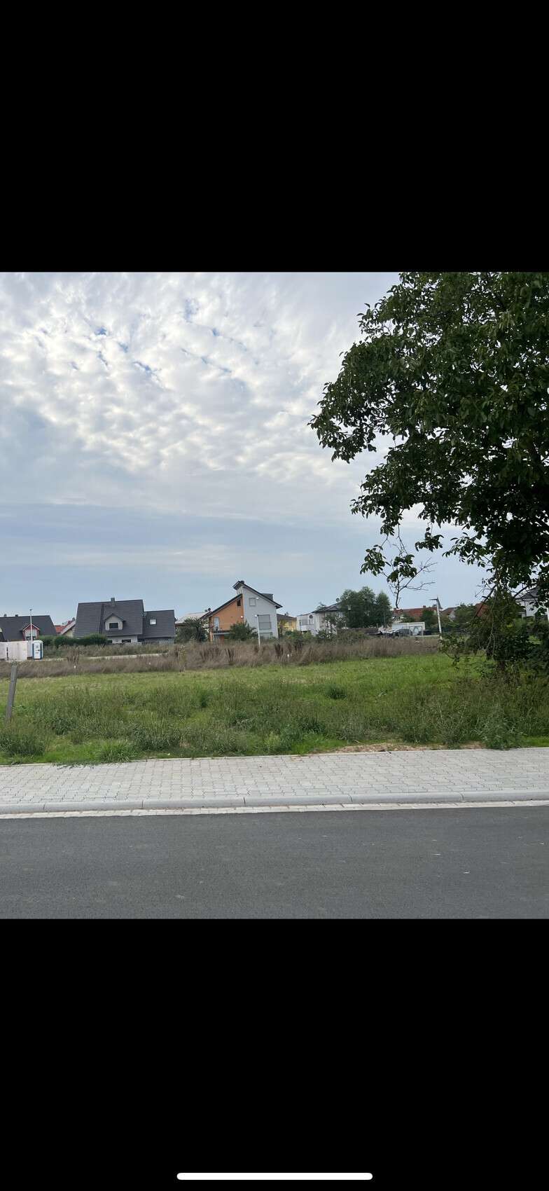 Grünes Feld mit mehreren Häusern im Hintergrund, rechts großer Baum, Gehweg vorne.