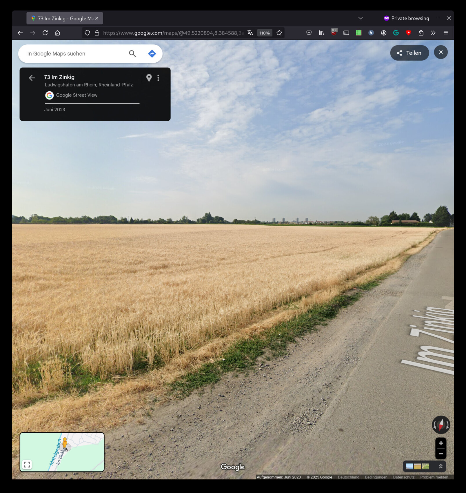Weizenfeld am Straßenrand; flaches Land mit blauem Himmel und Gebäuden am Horizont.