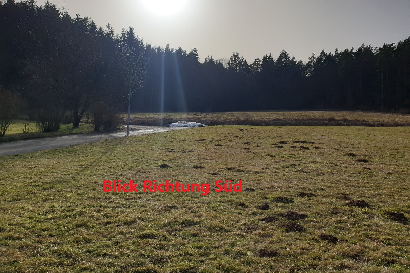 Grünes Feld mit Maulwurfshügeln, Weg am Rand, Wald im Hintergrund, Sonne sichtbar.