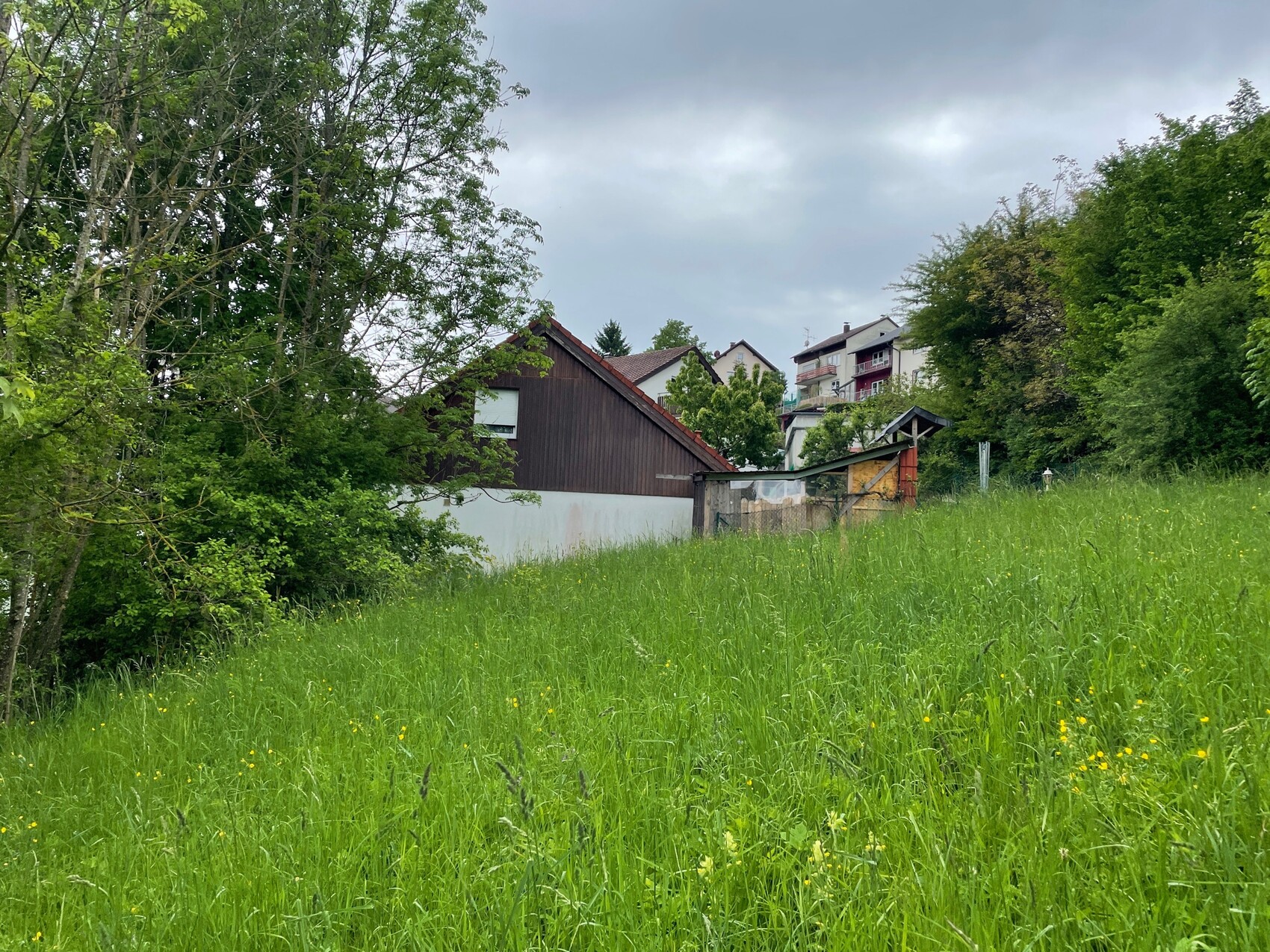 Grünes Grasfeld vorn, linke Bäume, Holzhaus, dahinter Wohnhäuser unter Wolken.