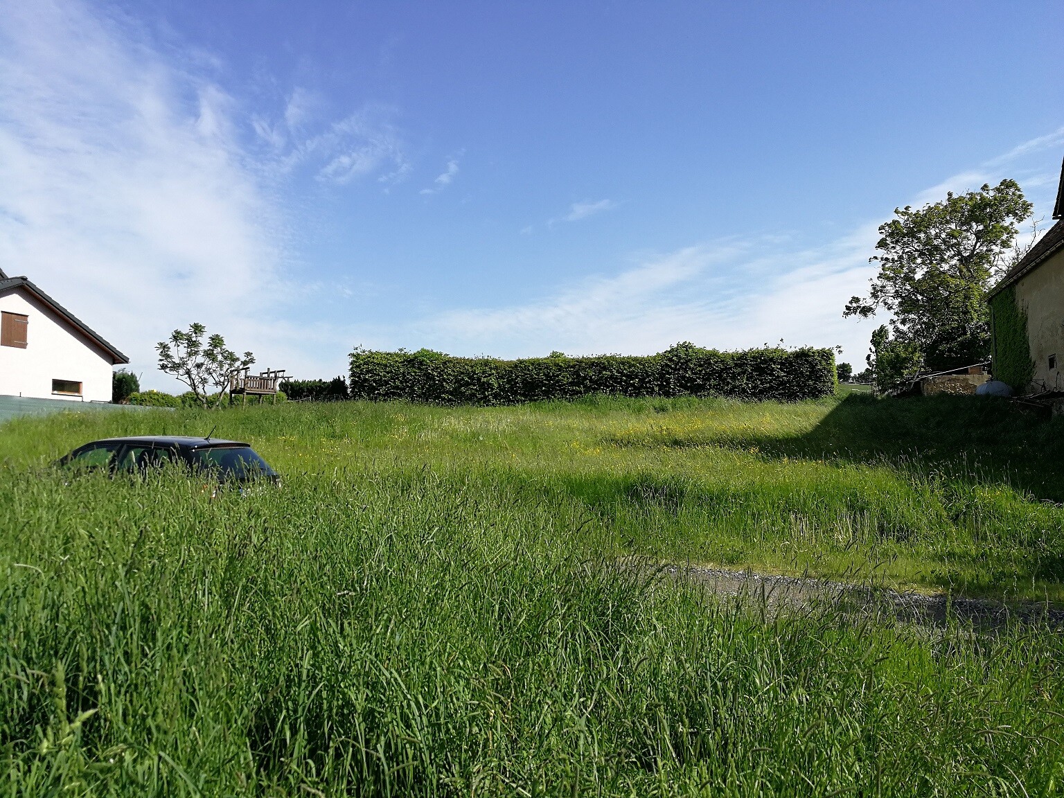 Grünes offenes Grundstück mit Gras, Hecke und Häusern im Hintergrund unter blauem Himmel