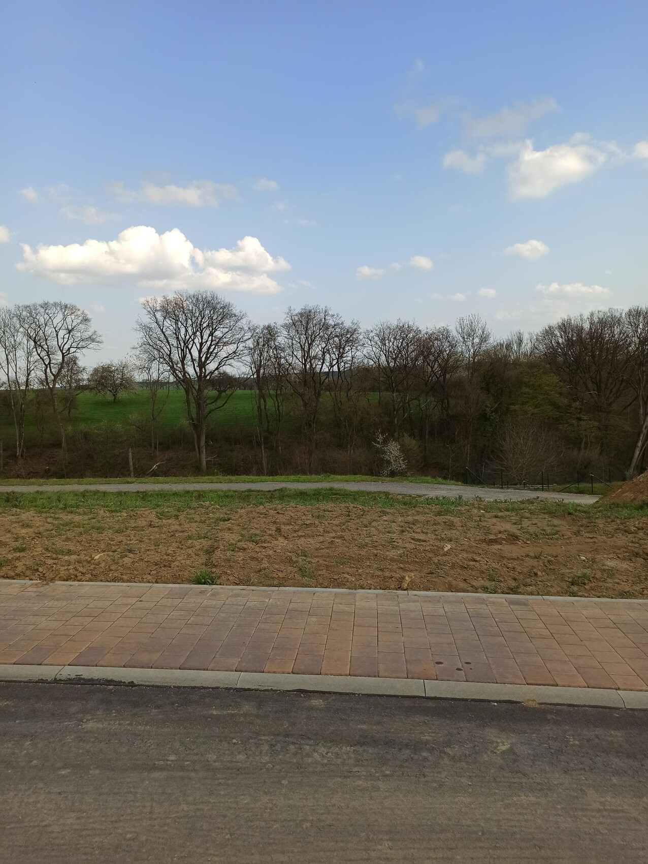 Gepflasterter Gehweg, braune Erdfläche, Baumreihe, grüne Felder, blauer Himmel.