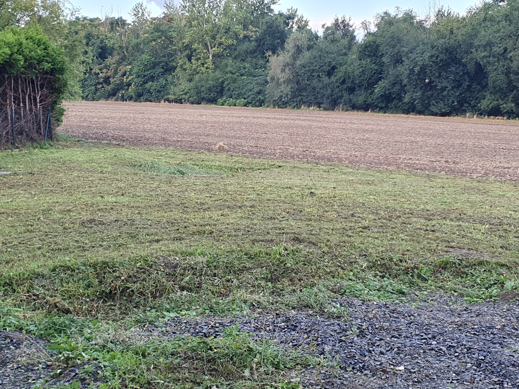 Weiträumige Felderlandschaft: Grasweg im Vordergrund, abgeerntetes Feld und Baumreihe im Hintergrund.