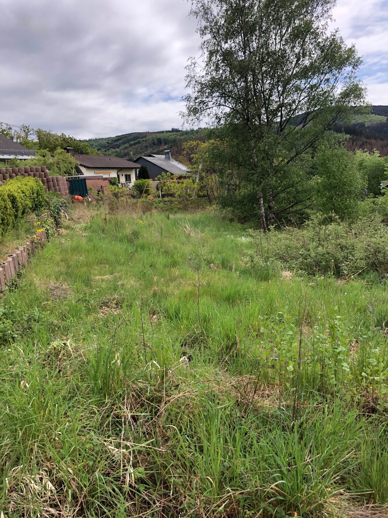 Grünes, ungemähtes Gartengrundstück mit Baum, Häusern und Hügeln im Hintergrund