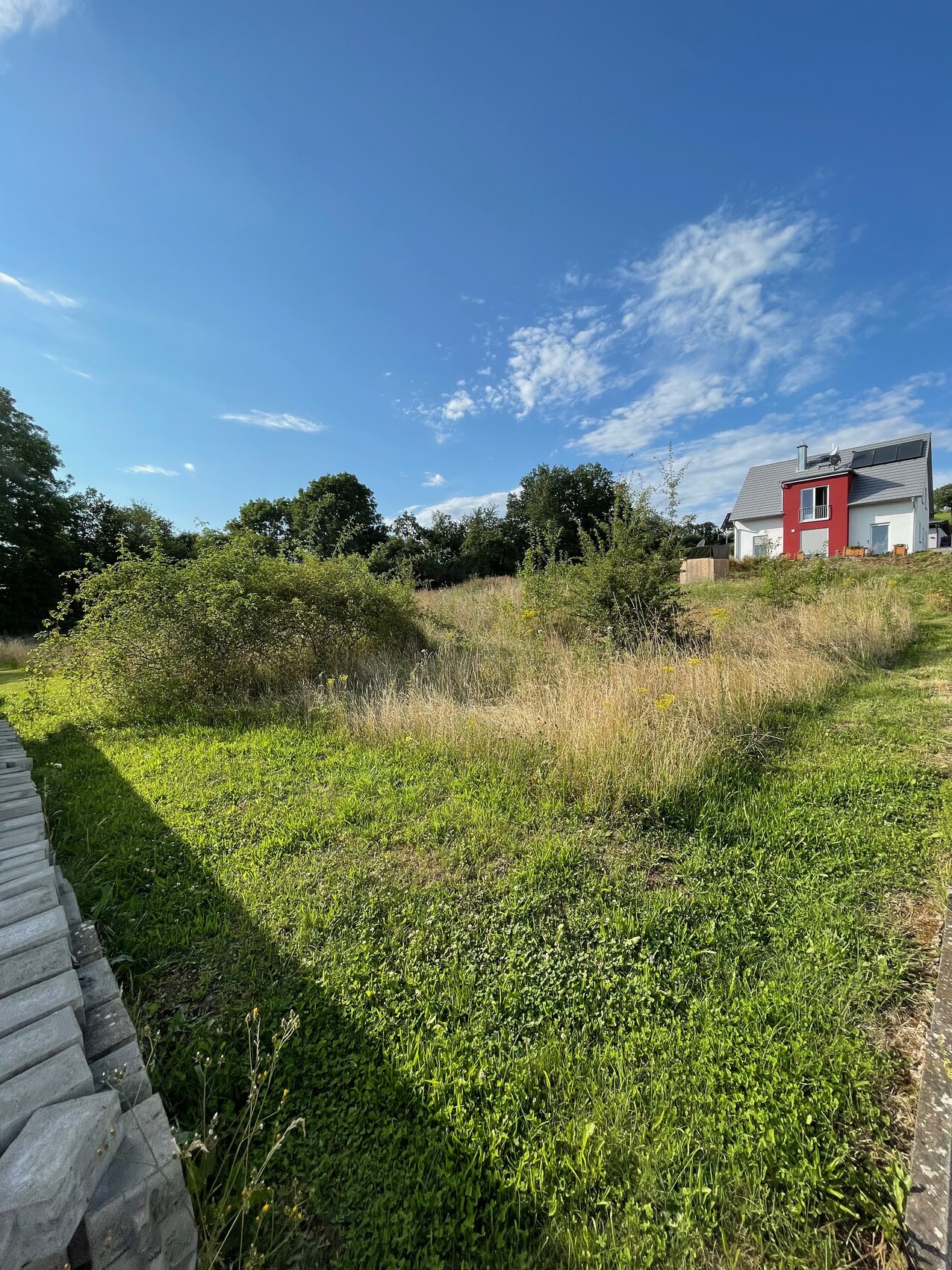 Grünes Gras mit Sträuchern, links Steinmauer, rechts modernes Haus mit roter Fassade, blauer Himmel.