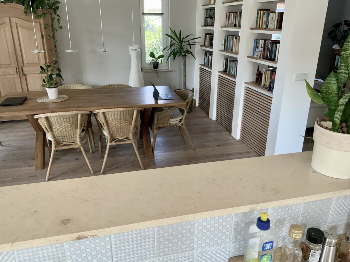 Heller offener Essbereich mit Holztisch, Korbsesseln, Laptop, Bücherregalen und Pflanzen.
